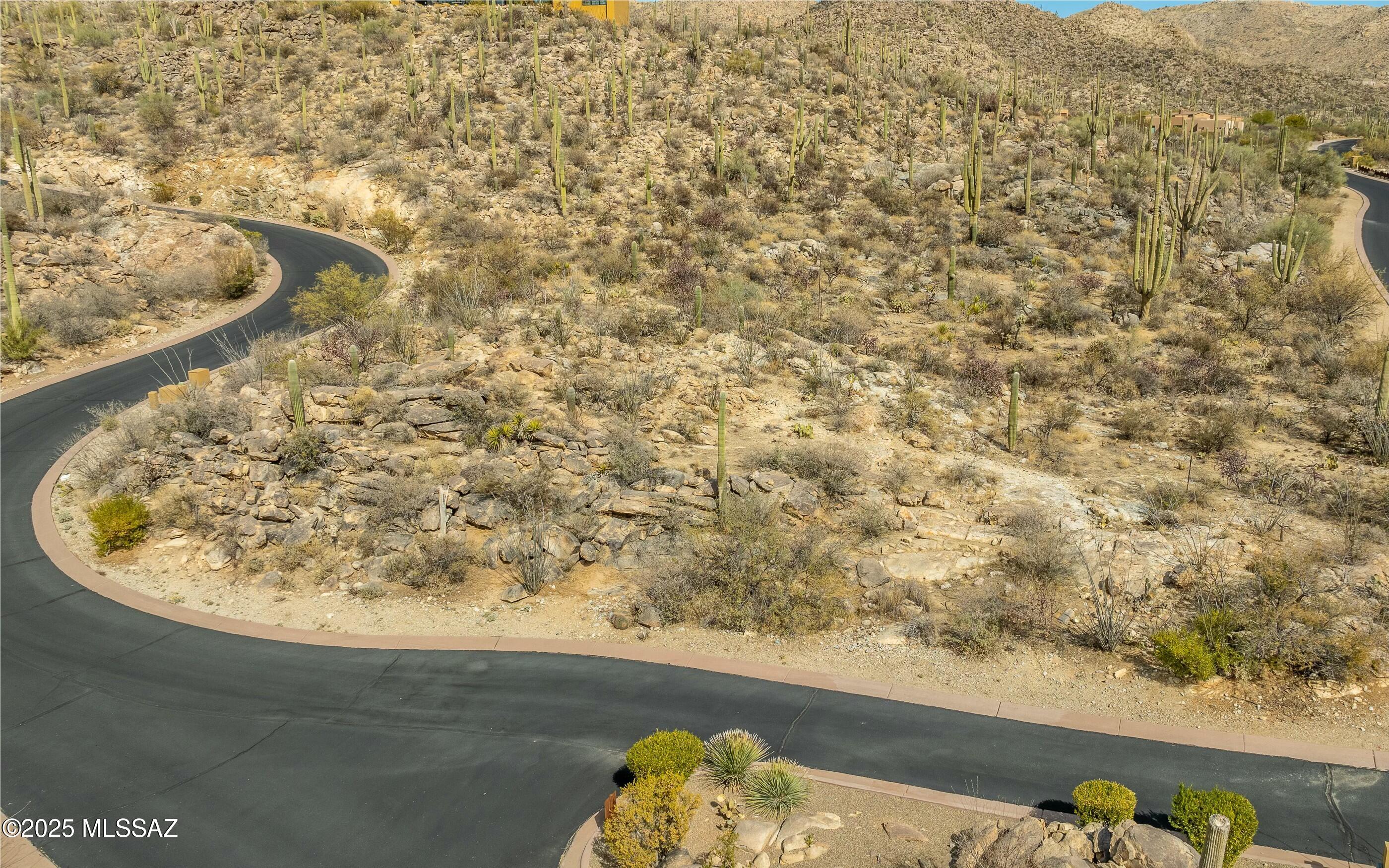 Canyon Pass At Dove Mountain - Land