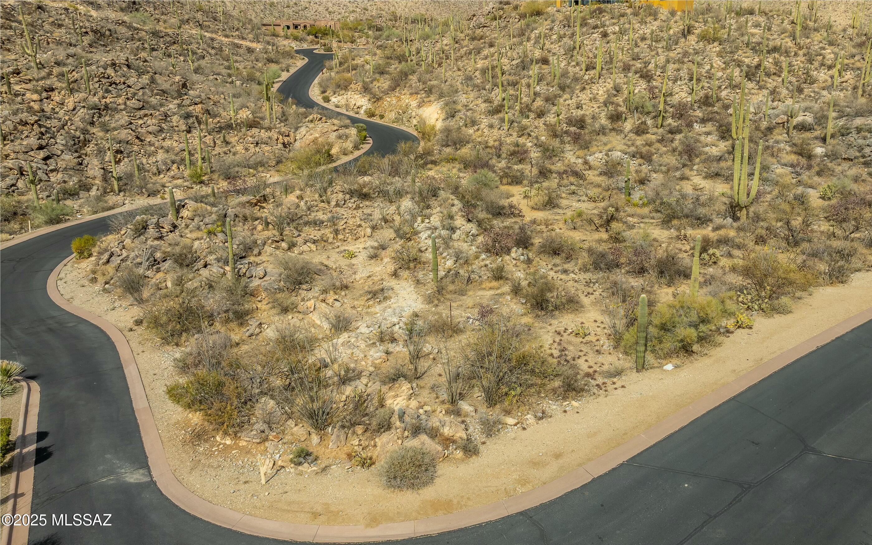 Canyon Pass At Dove Mountain - Land