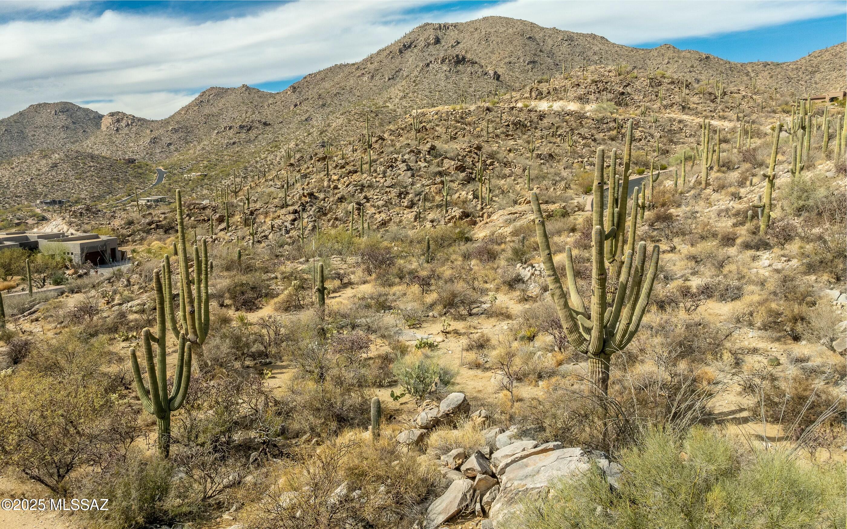 Canyon Pass At Dove Mountain - Land