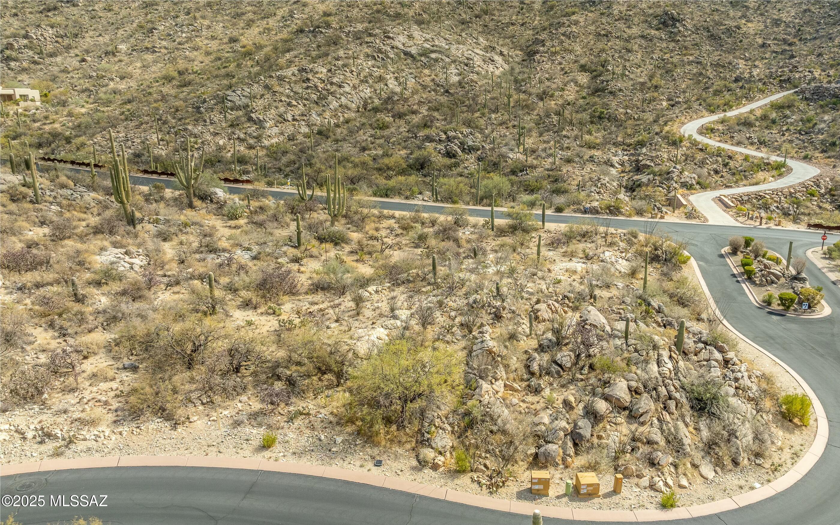 Canyon Pass At Dove Mountain - Land