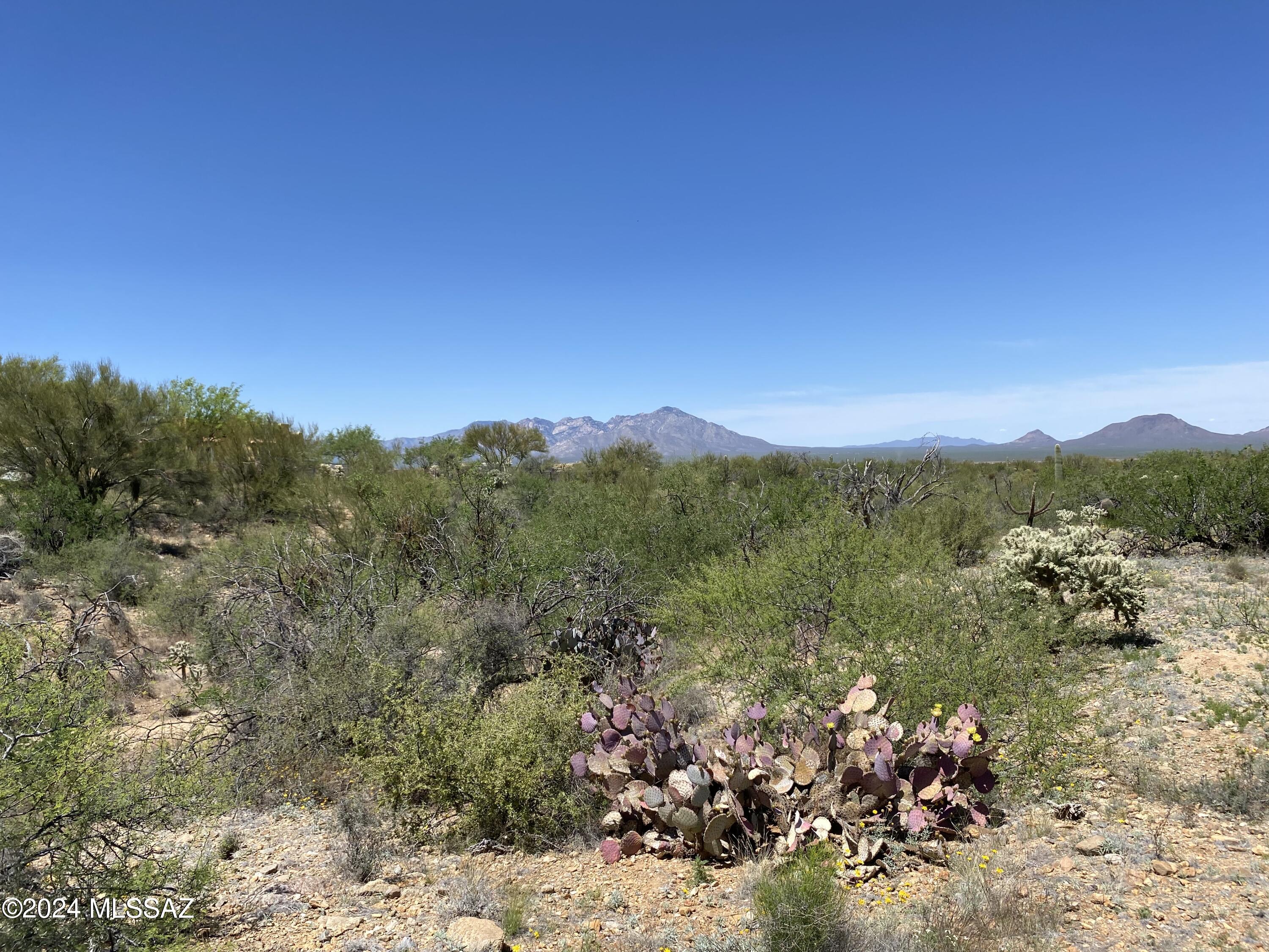 Diamond Bell Ranch - Tucson Unit 9 (Lots 58-375) - Land