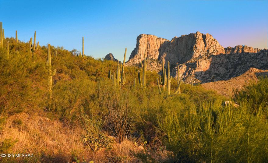 Nestled in the prestigious guard-gated La Reserve community, this hillside view lot offers a rare opportunity to create your custom desert retreat.  Situated at an elevation of 2,740', the property showcases spectacular mountain views from the rear yard, with a designated wilderness area located at the top of the lot, ensuring privacy and a natural backdrop. Unlike most hillside parcels, this lot is uniquely enriched with mature trees and lush Sonoran Desert vegetation, including towering saguaros and native plant life, creating a serene setting that blends seamlessly with its rugged landscape. The dramatic background, the Catalina Mountains, provides a striking panorama that defines the beauty of Oro Valley. From the future home site, you'll enjoy sweeping valley views that stretch across the desert floor, complemented by brilliant Arizona sunsets.  The elevation and orientation create endless possibilities for designing indoor-outdoor living spaces expansive patios, view decks, or even a negative-edge pool that celebrate the desert lifestyle.

This property is more than just a lot, it's the perfect canvas for a one-of-a-kind residence that blends luxury, nature, and lifestyle in one of Southern Arizona's most sought-after communities.