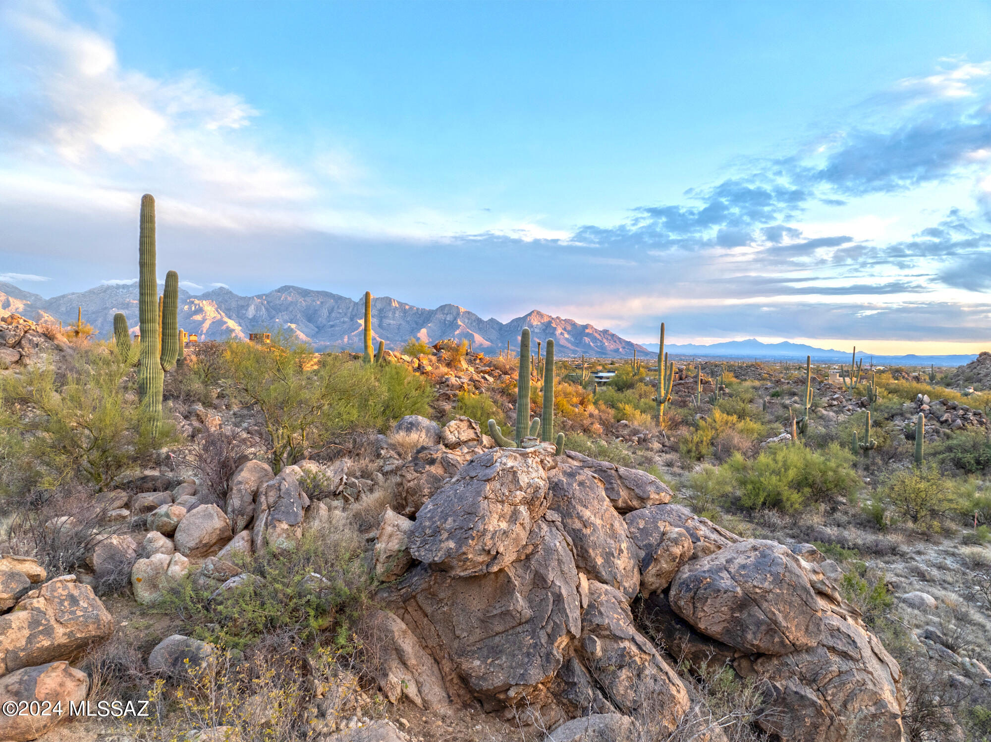 1178 W Tortolita Mountain Circle 196