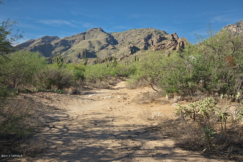 Canyon View At Ventana Condominium (1-264) - Residential Lease