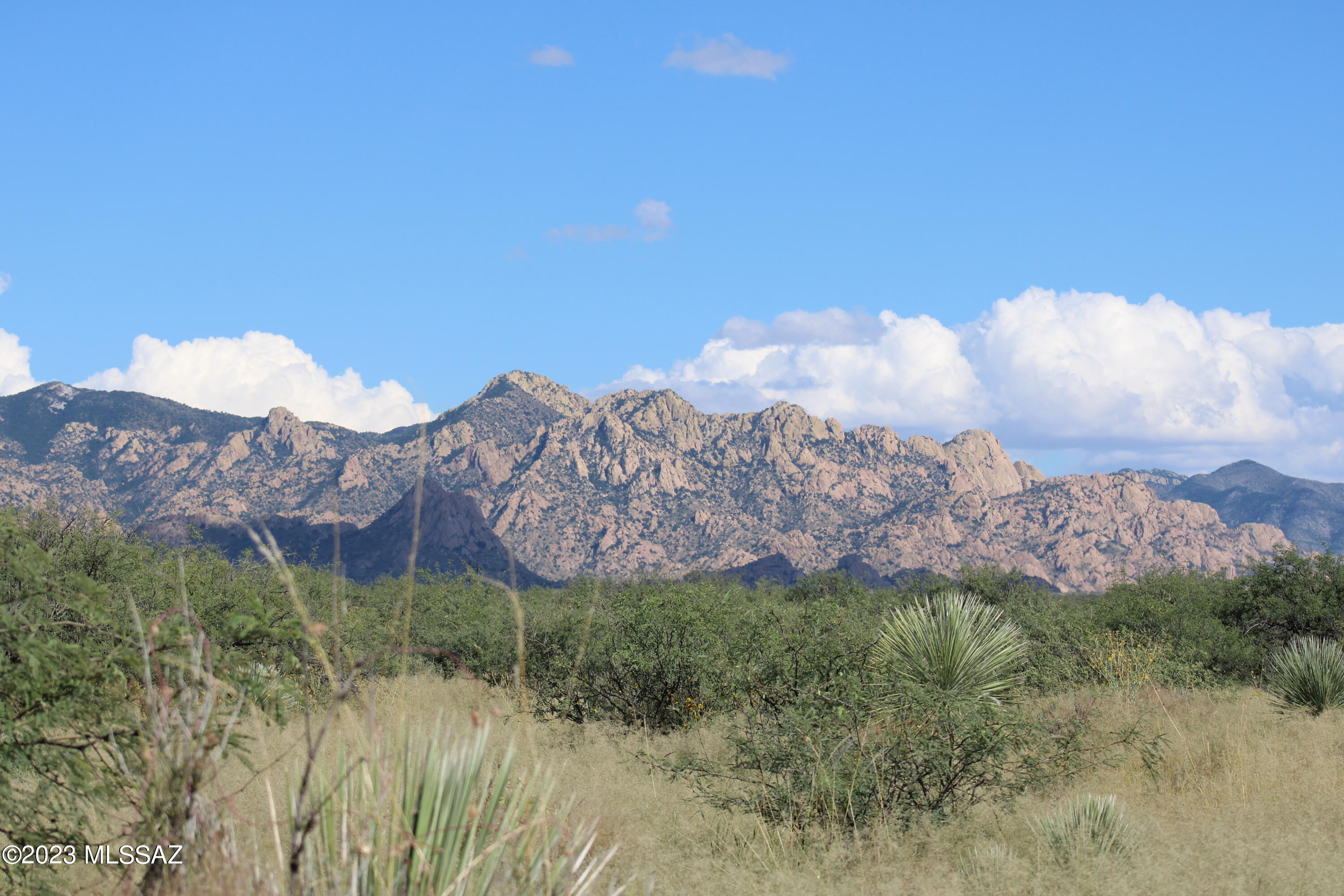 Dragoon Mountain Ranch - Land