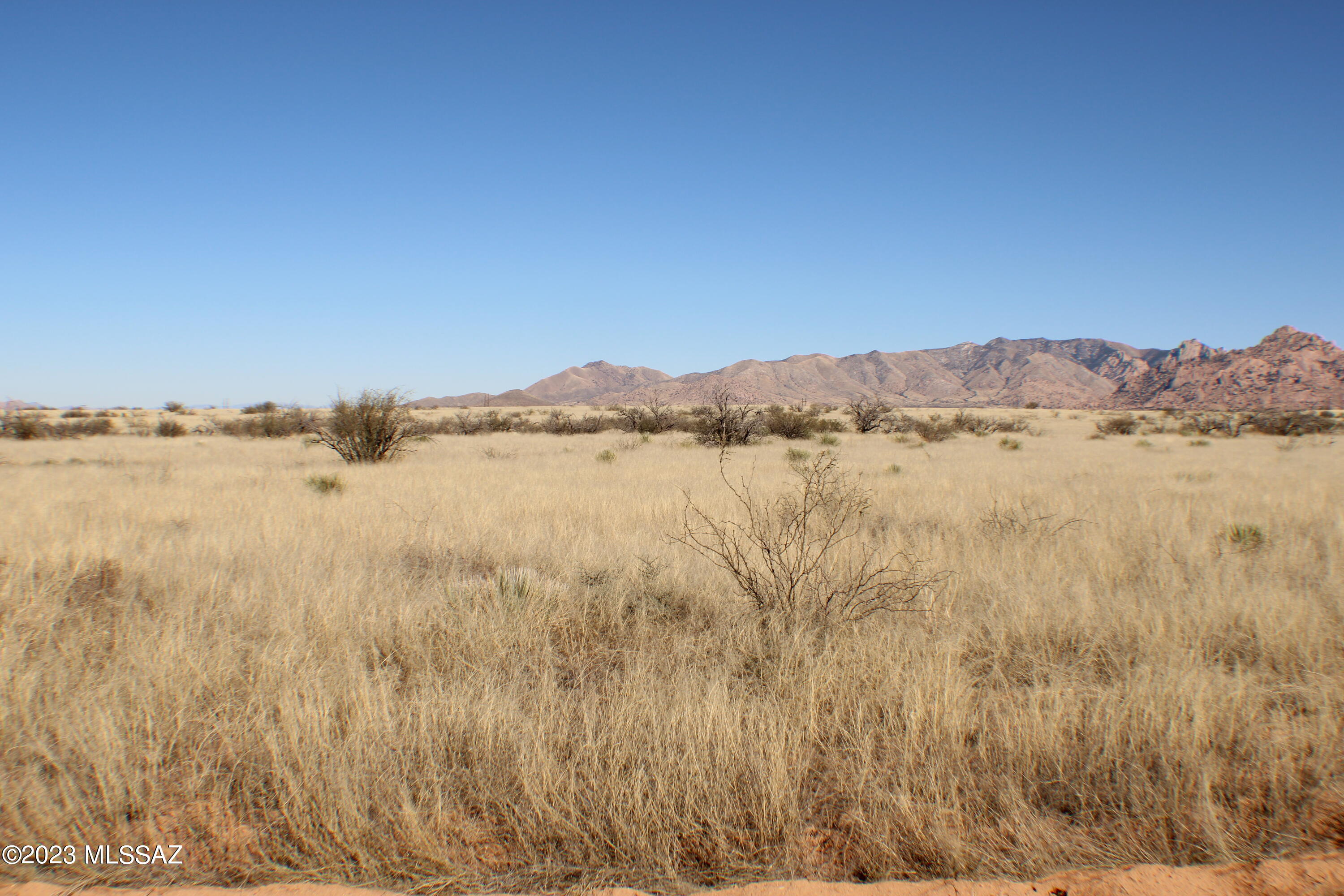 Dragoon Mountain Ranch - Land