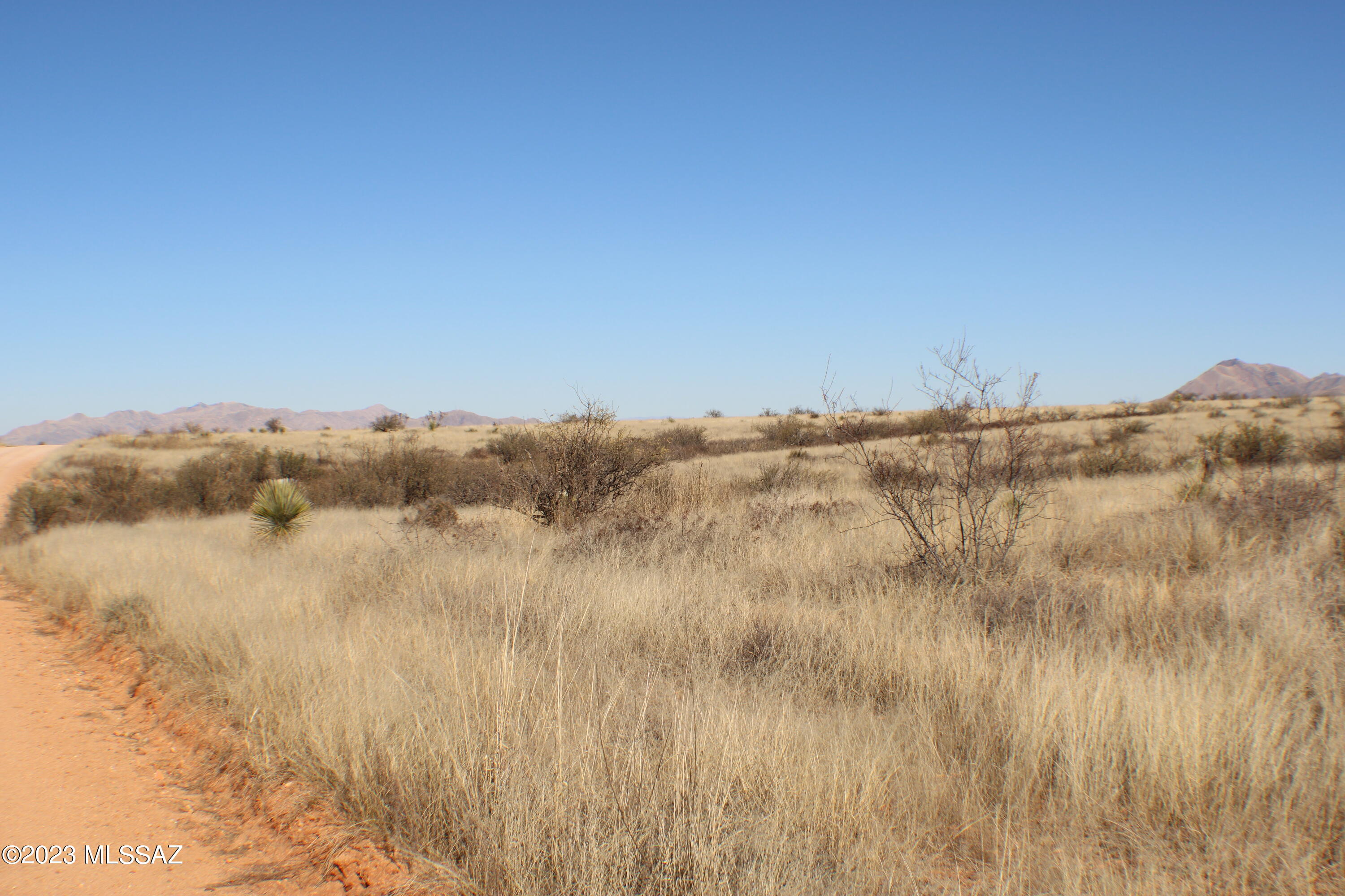 Dragoon Mountain Ranch - Land