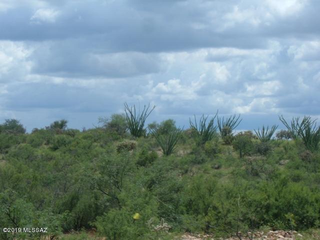 Colonia Real (1-50) - Land