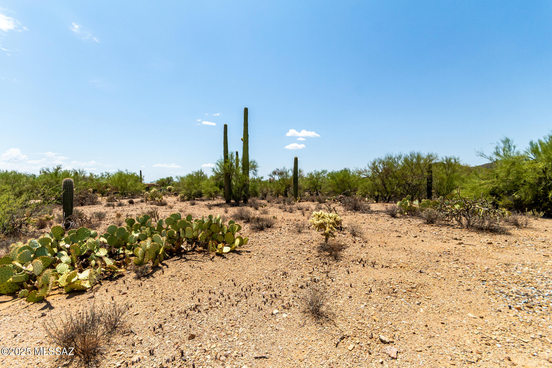 2900 S Kinney Road 13