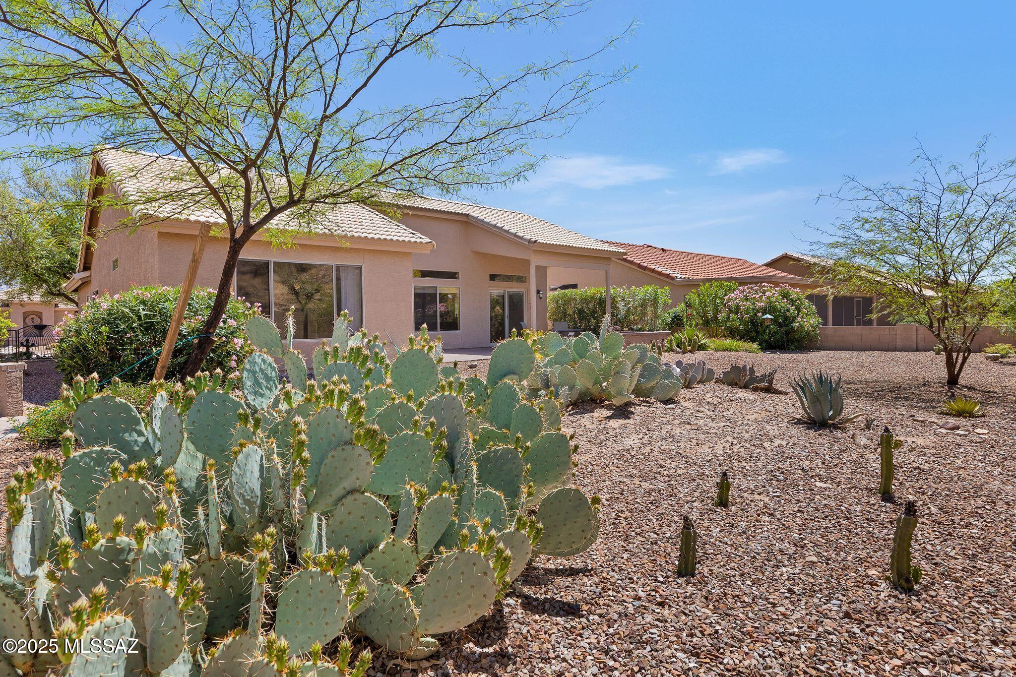 Saddlebrooke - Residential