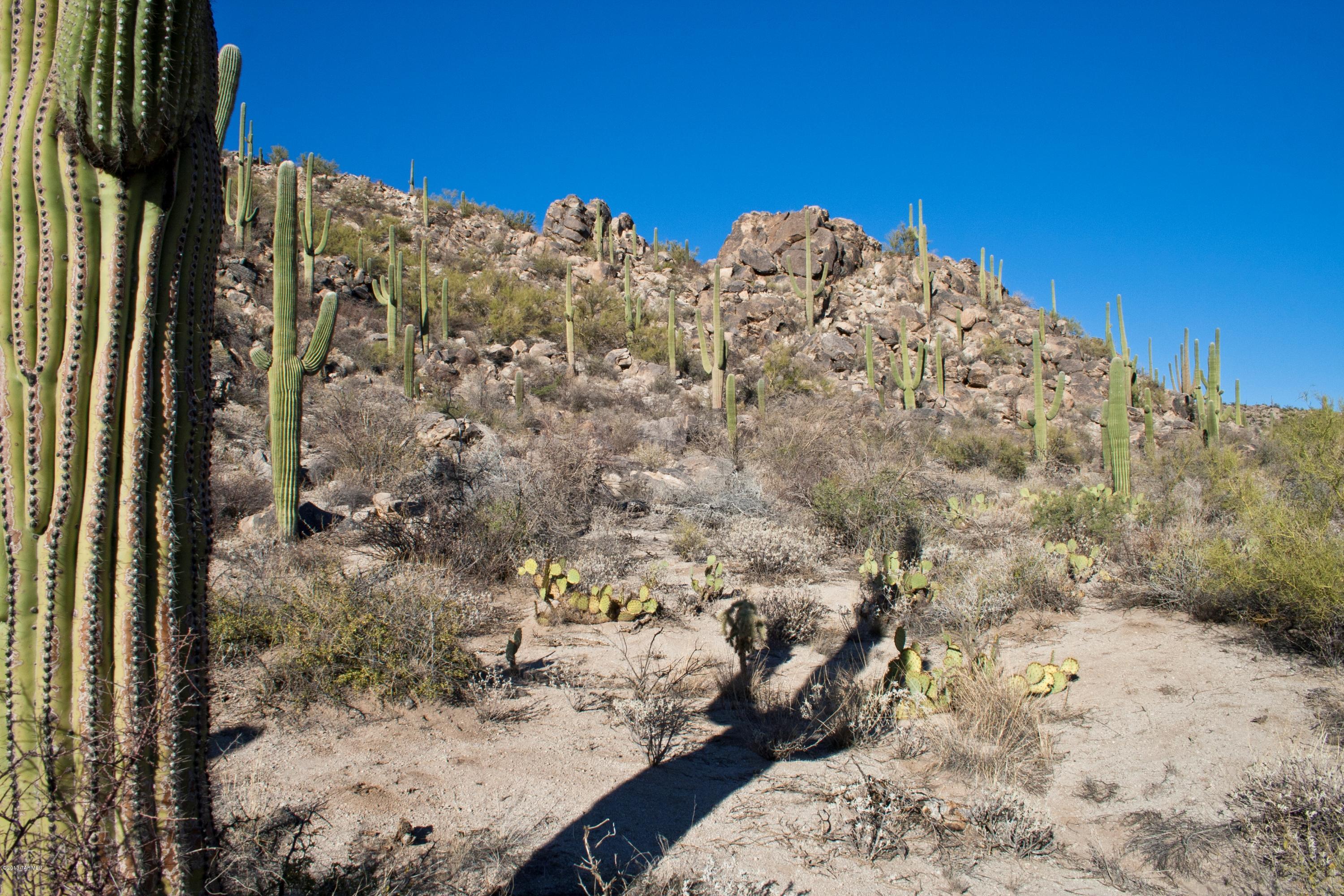 Stone Canyon II - Land