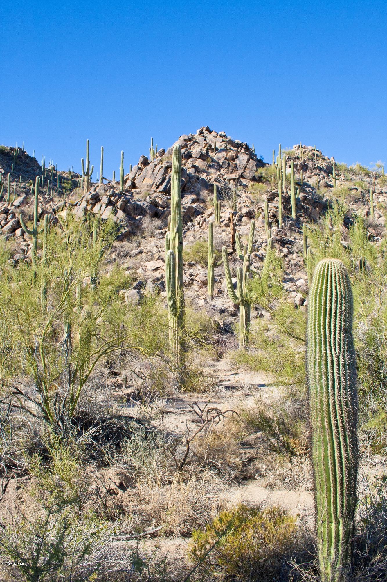 Stone Canyon II - Land