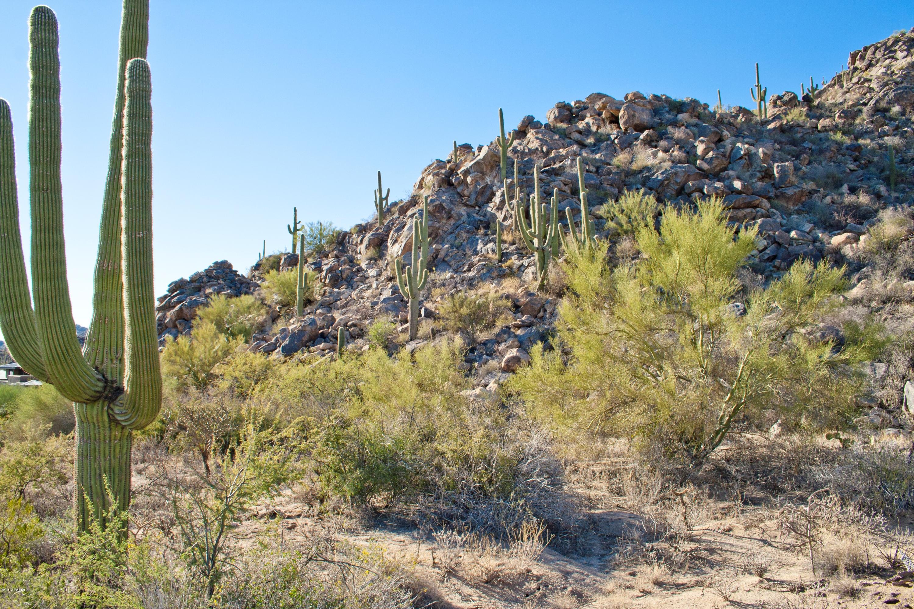 Stone Canyon II - Land