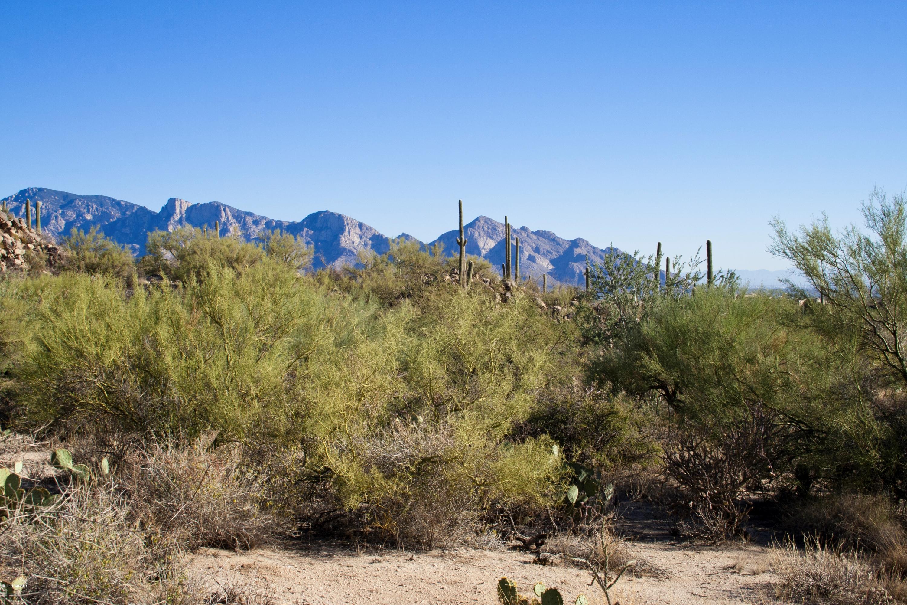 Stone Canyon II - Land