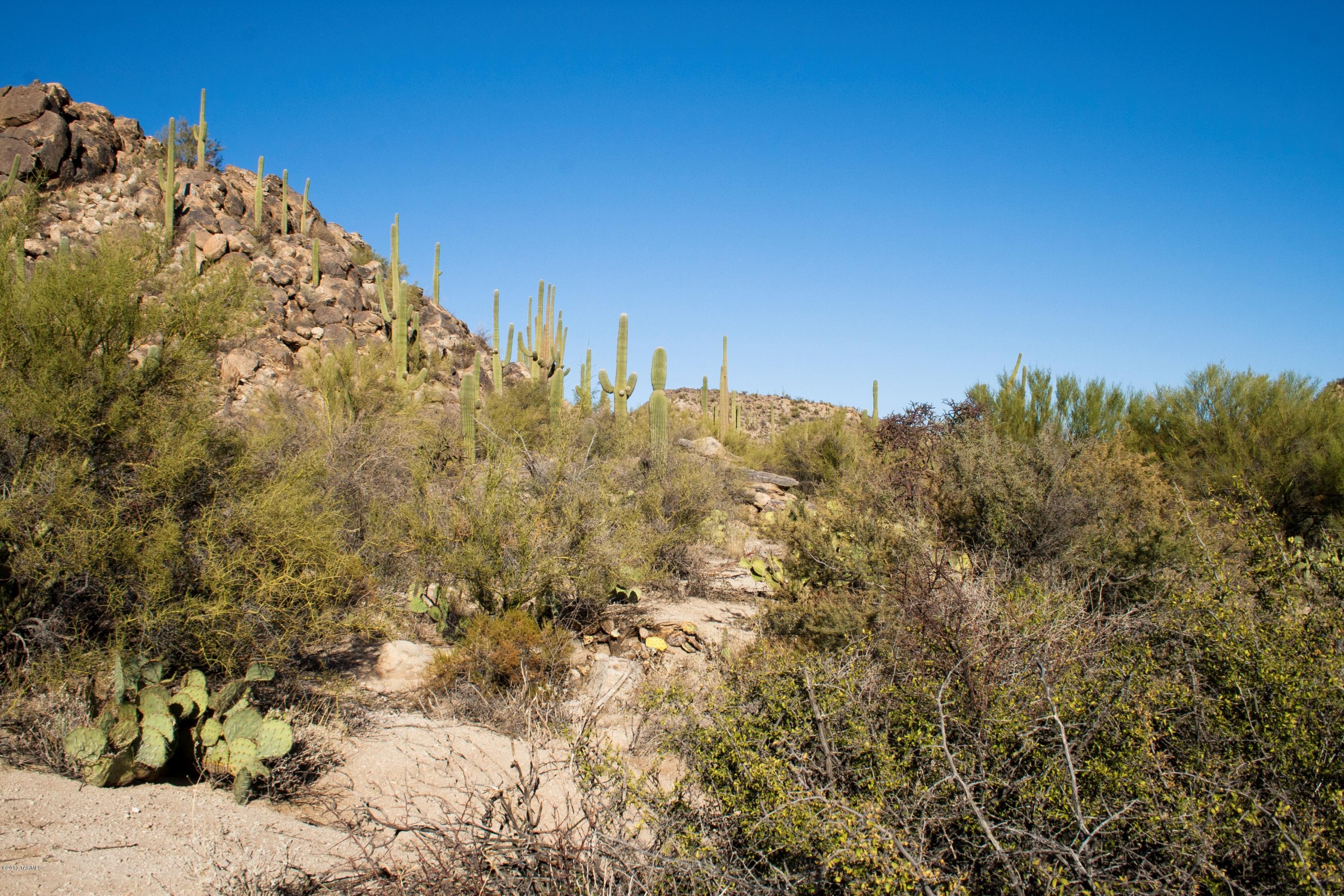 Stone Canyon II - Land