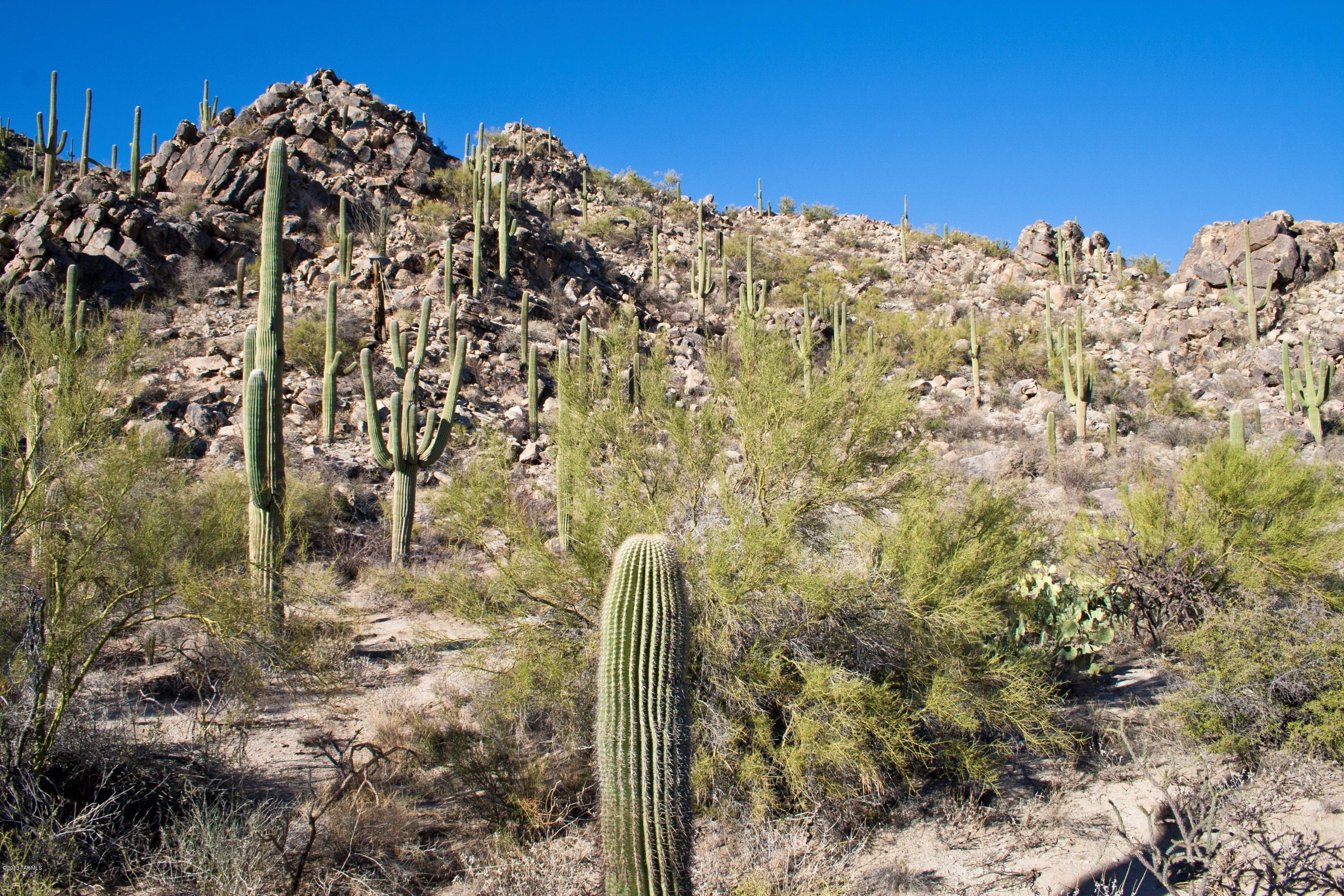 Stone Canyon II - Land