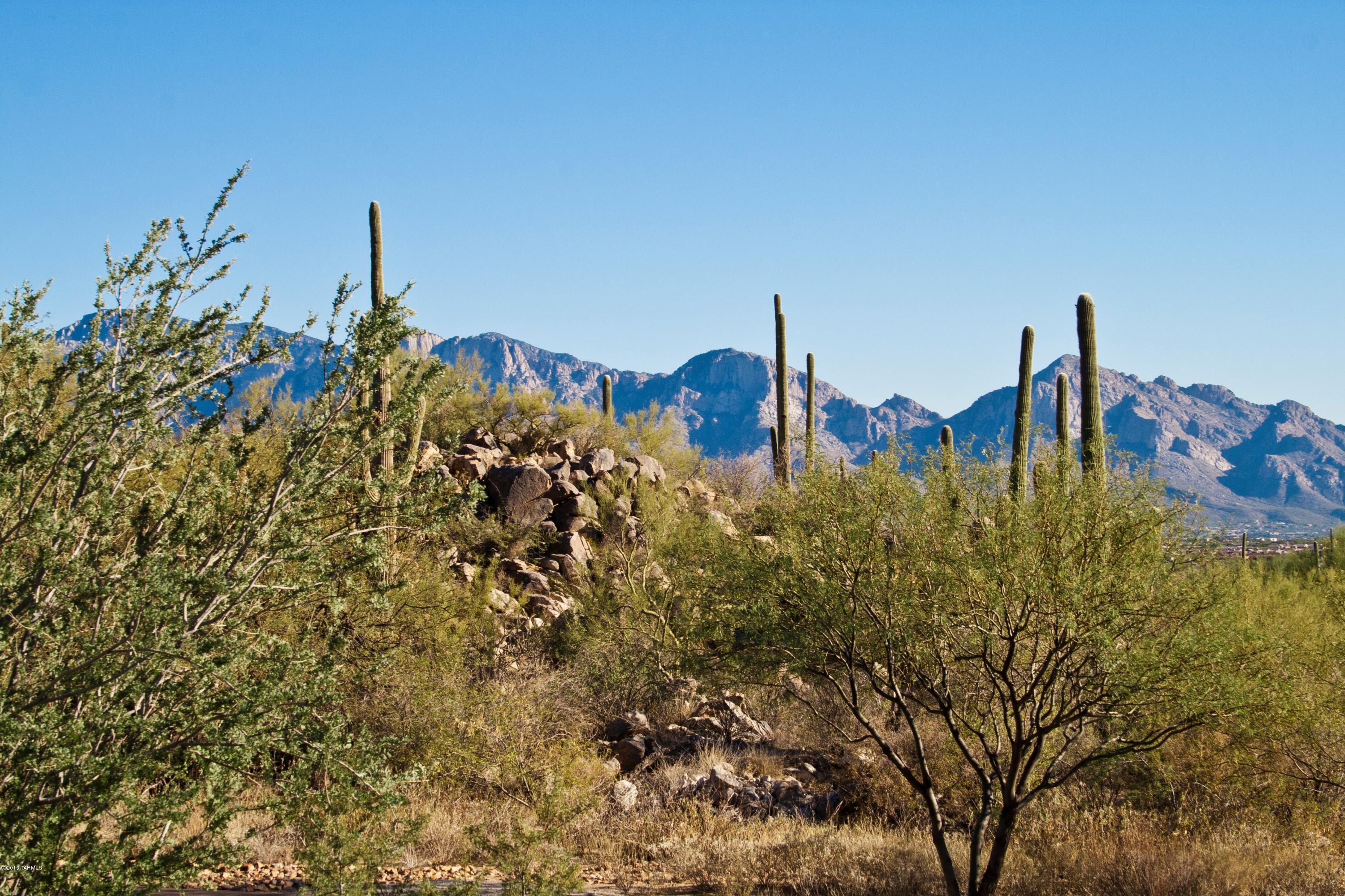 Stone Canyon II - Land