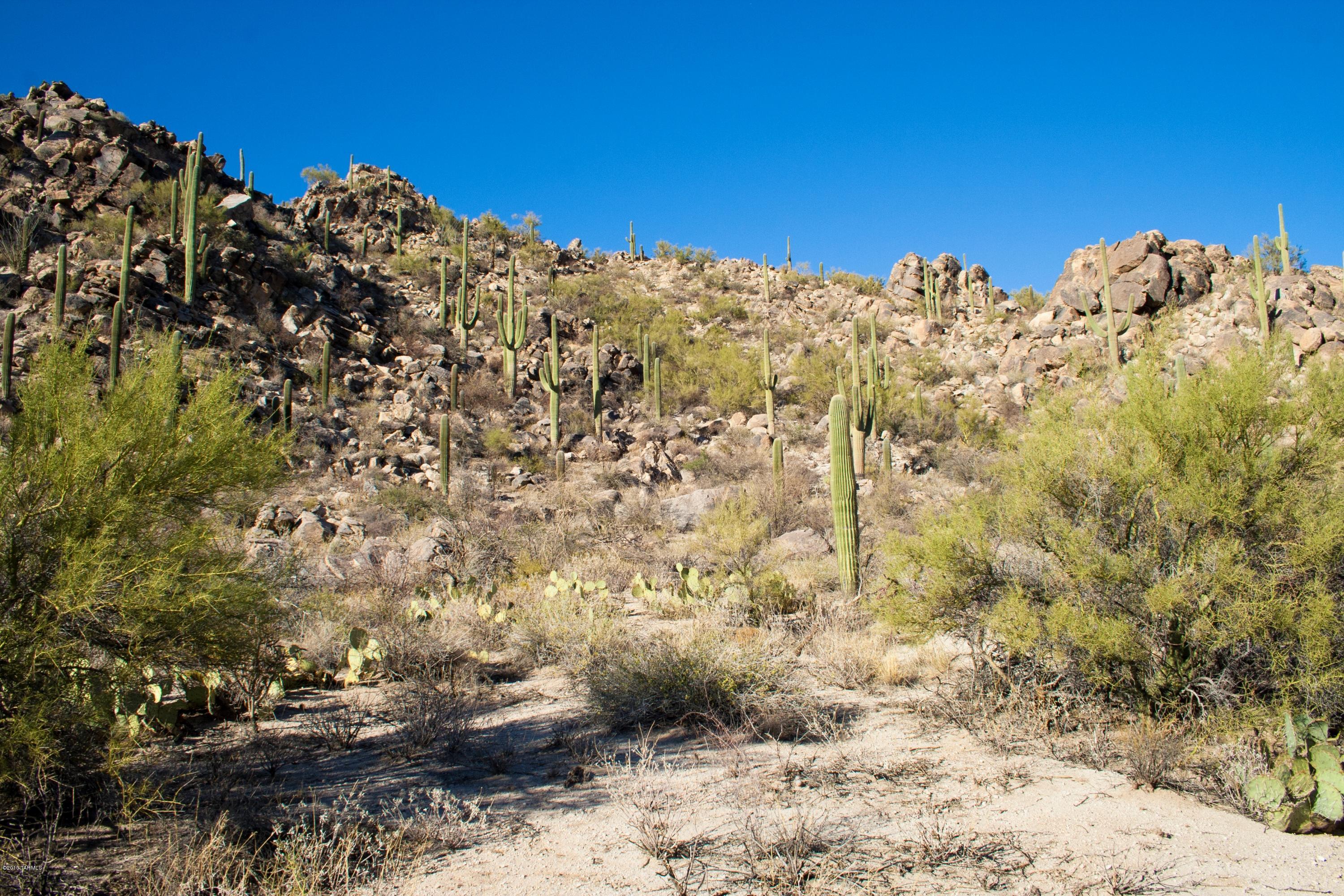 Stone Canyon II - Land