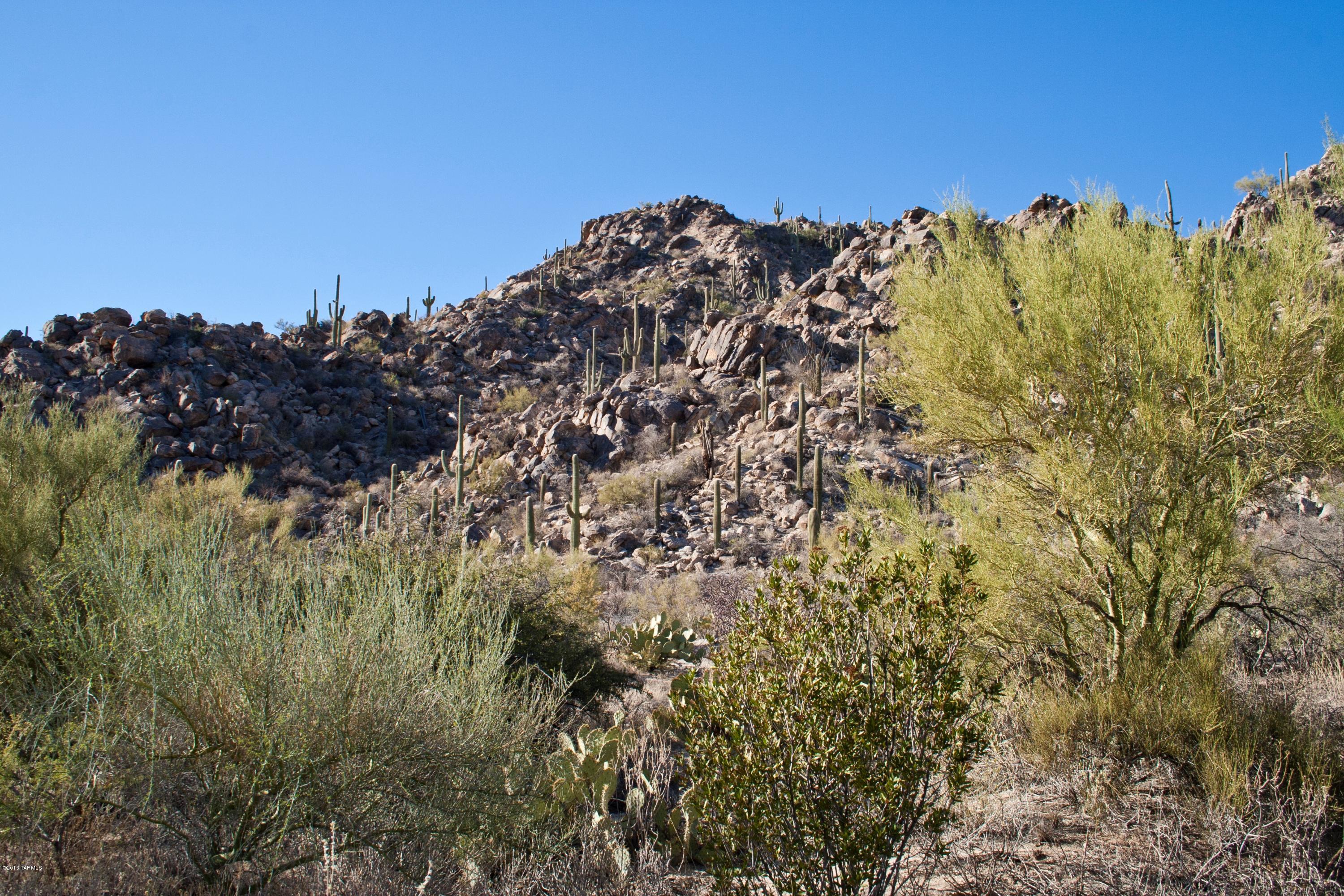 Stone Canyon II - Land