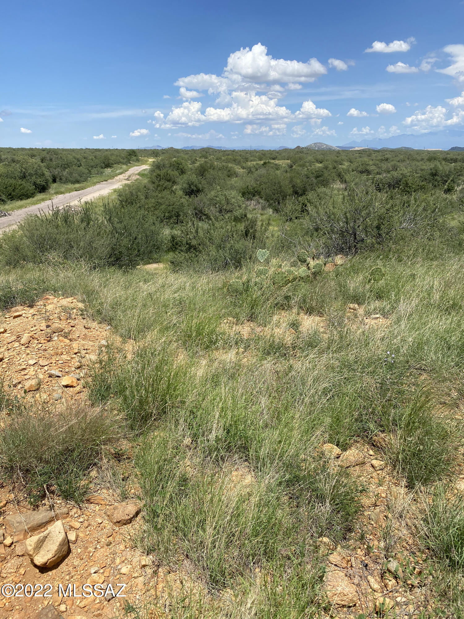 18645 S Bonanza Gold Drive 144C