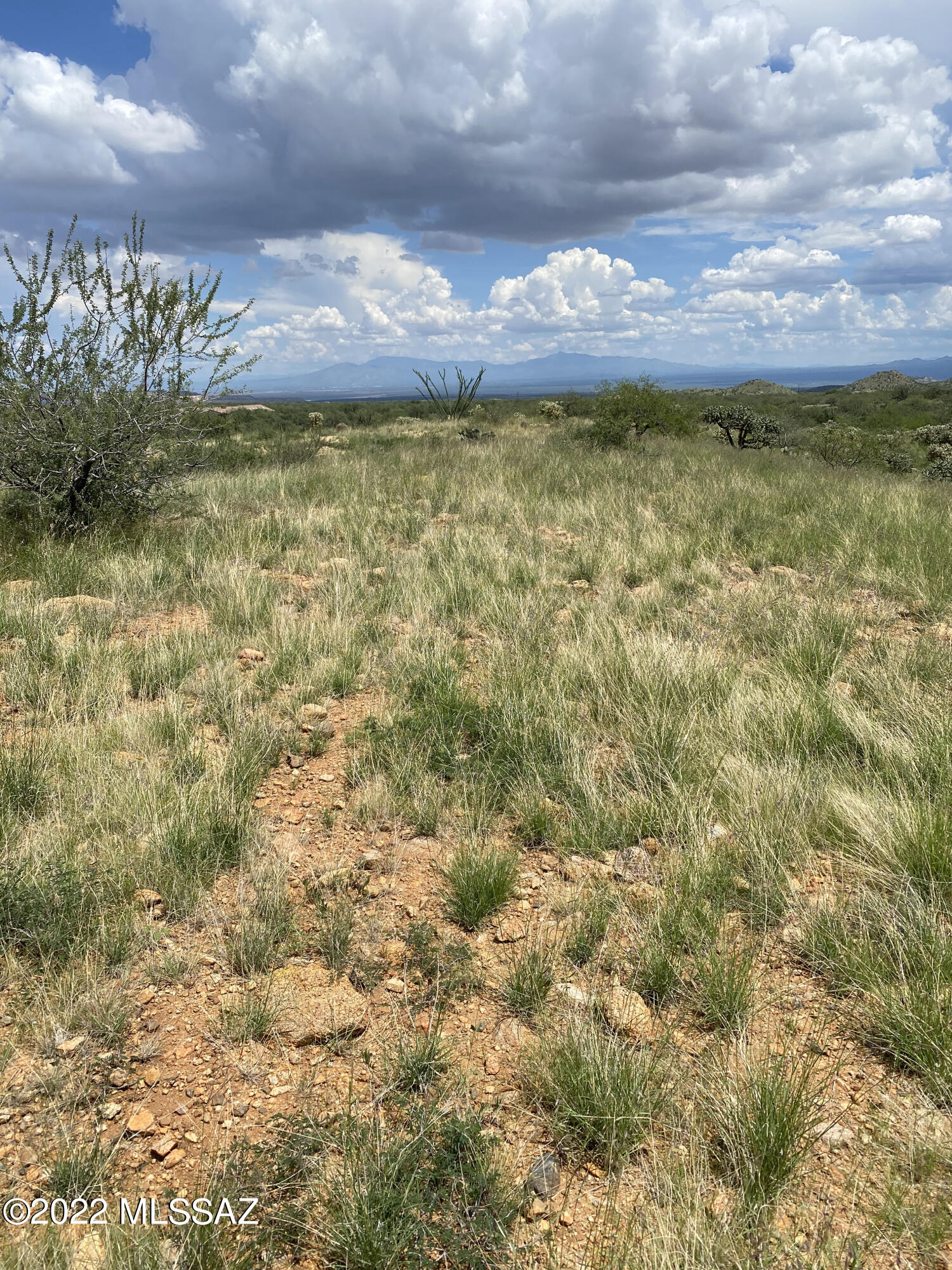 18645 S Bonanza Gold Drive 144C