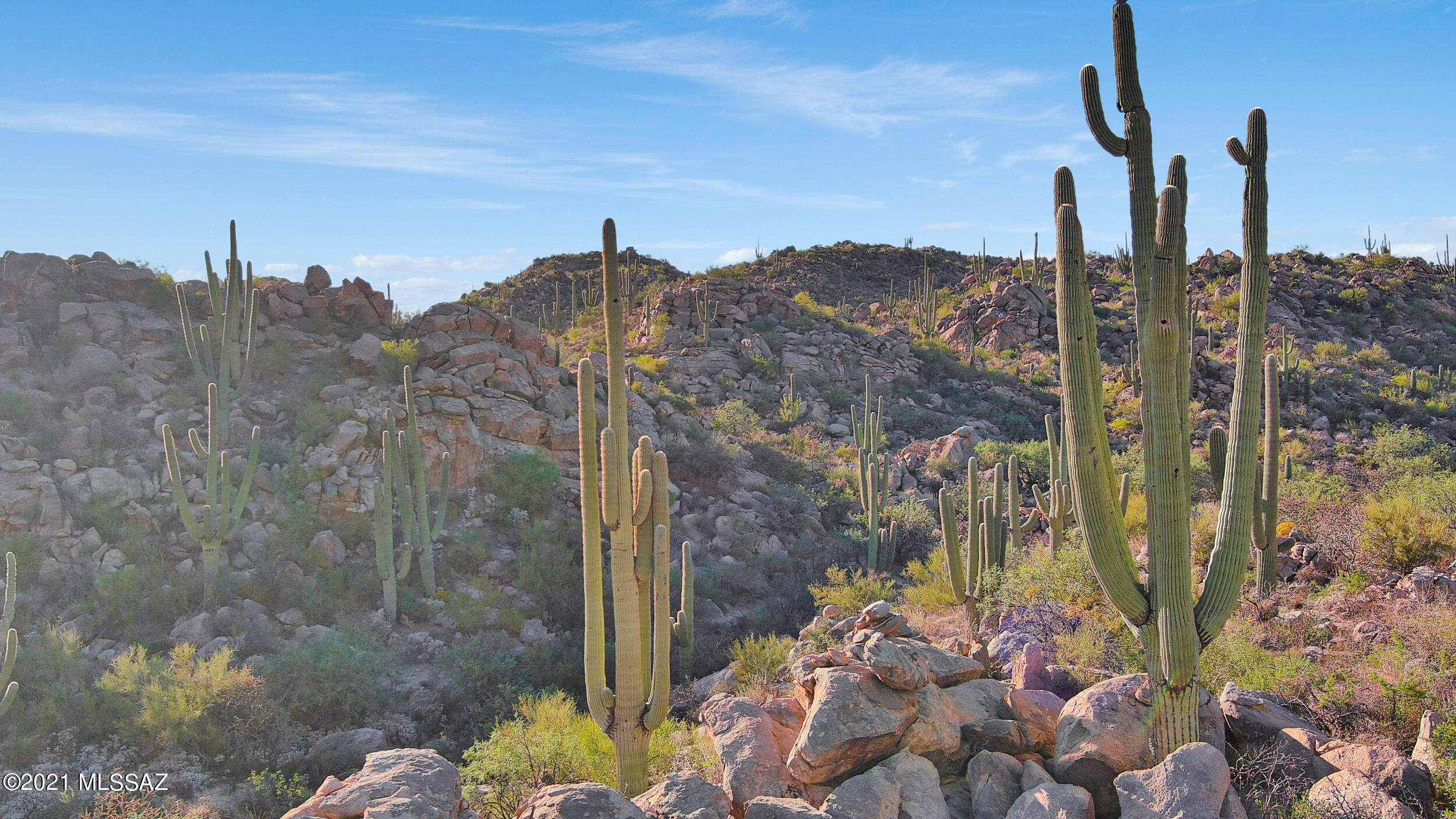Stone Canyon VIII (486-602) - Residential