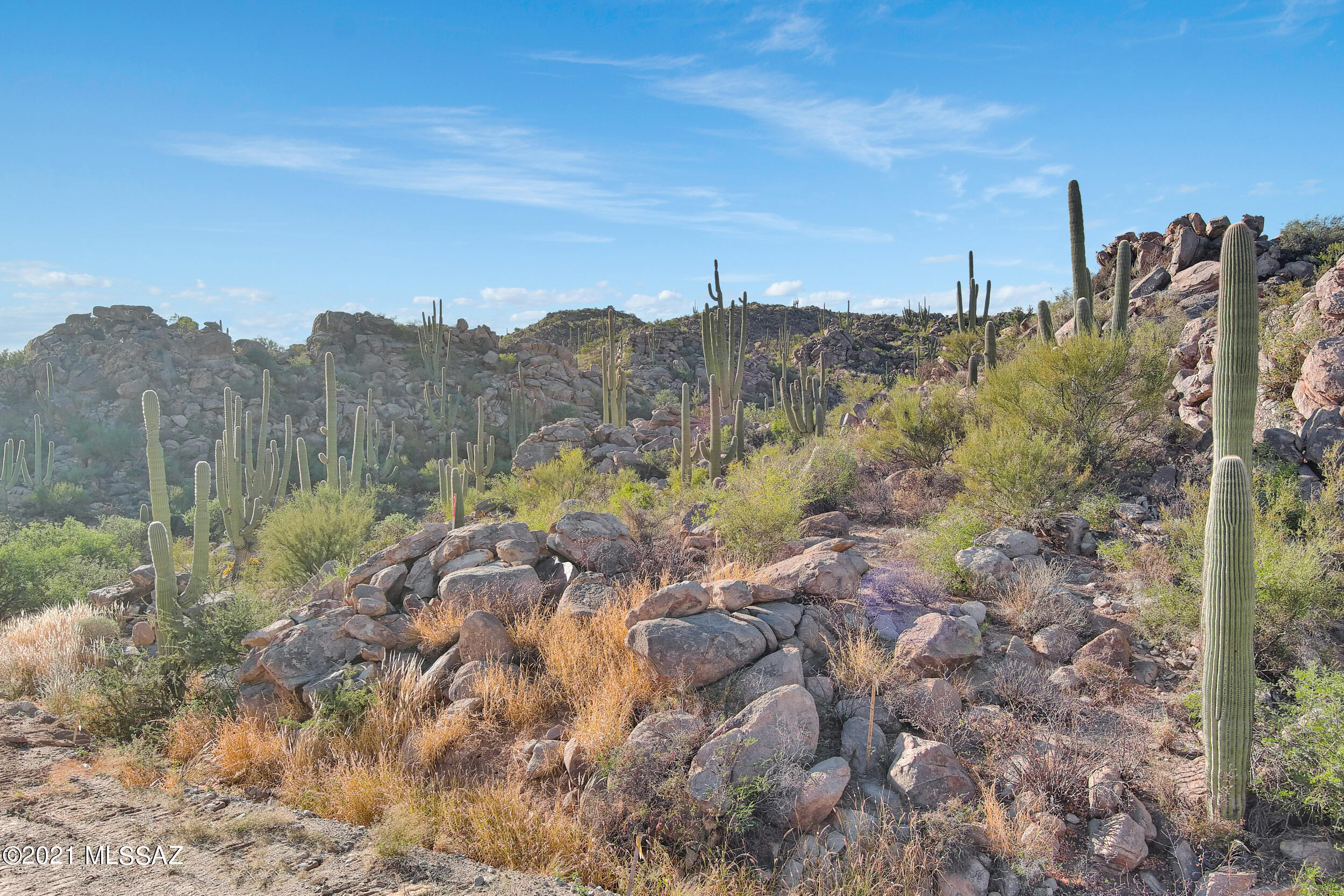 Stone Canyon VIII (486-602) - Residential
