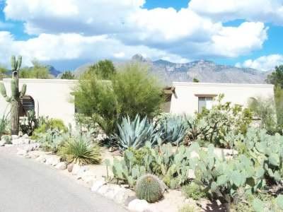 Catalina Foothills Est 8 - Residential Lease