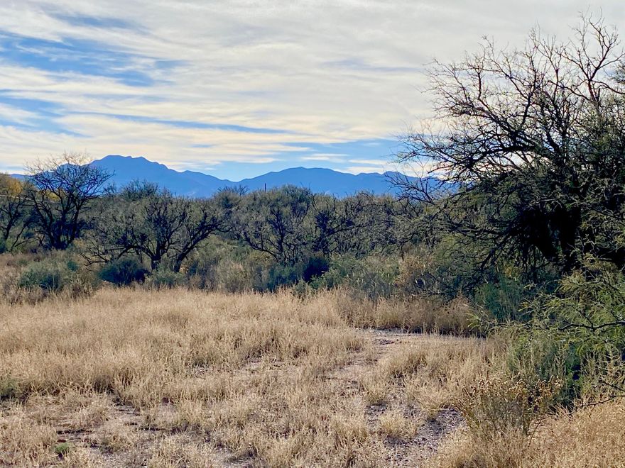 Here is a perfect location to build YOUR DREAM HOME.  You will not find land that is this developed and on fully paved roads.  You have your very own Private Exempt Well that is ready to use.  Septic, Water, Electric, and Plumbed for Propane are already installed on this lush 4.08 acres of land.  Not at lot line, but installed! Pumphouse on the property, as well as a storage building with electricity. Come Look for your self! Greatest year-round weather.  Visit Kartchner Caverns, Tombstone, Bisbee & San Pedro Riparian National Conservation Area. Ride horses in Dragoon Mountains and Apache Peak area. Minutes from Sierra Vista & Babocomari River. 60 min from Tucson. Bring the horses! Kick back and watch the sunset!