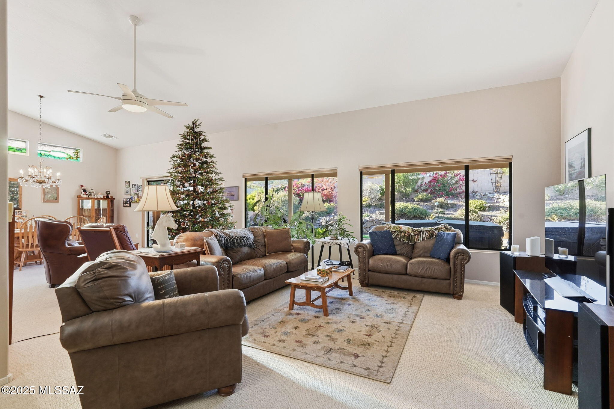 37794 S Skyline Drive