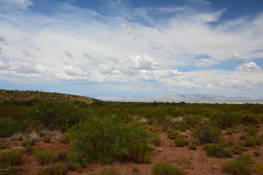 Capped registered well on a nice looking parcel.  There is a 50 foot mesita or elevated plateau that would be a perfect building site for the views, or perhaps down by either of two washes that act as lot boundaries on the east and west side of the property.  Easy CC+Rs to maintain the great roads.  Recently paved road from Tombstone to Gleeson has made it a quick ride into Tombstone.  Mild HOA to collect funds to maintain the great roads in the subdivision. Power is a quarter mile away.