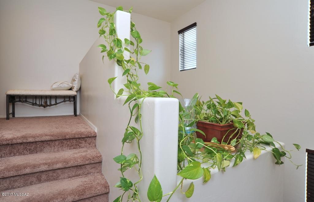 Paseo del Rio - Residential Lease
