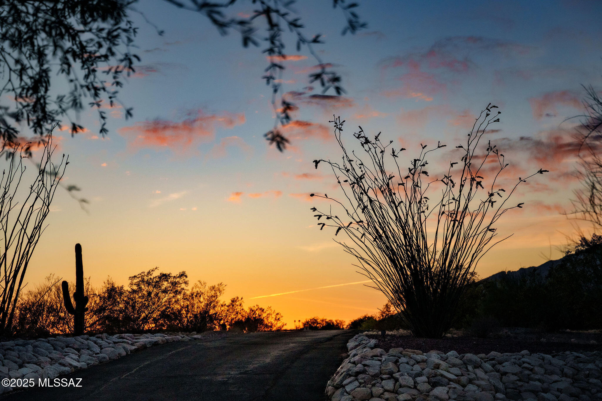 Catalina Ranch Estates (25-90) - Residential