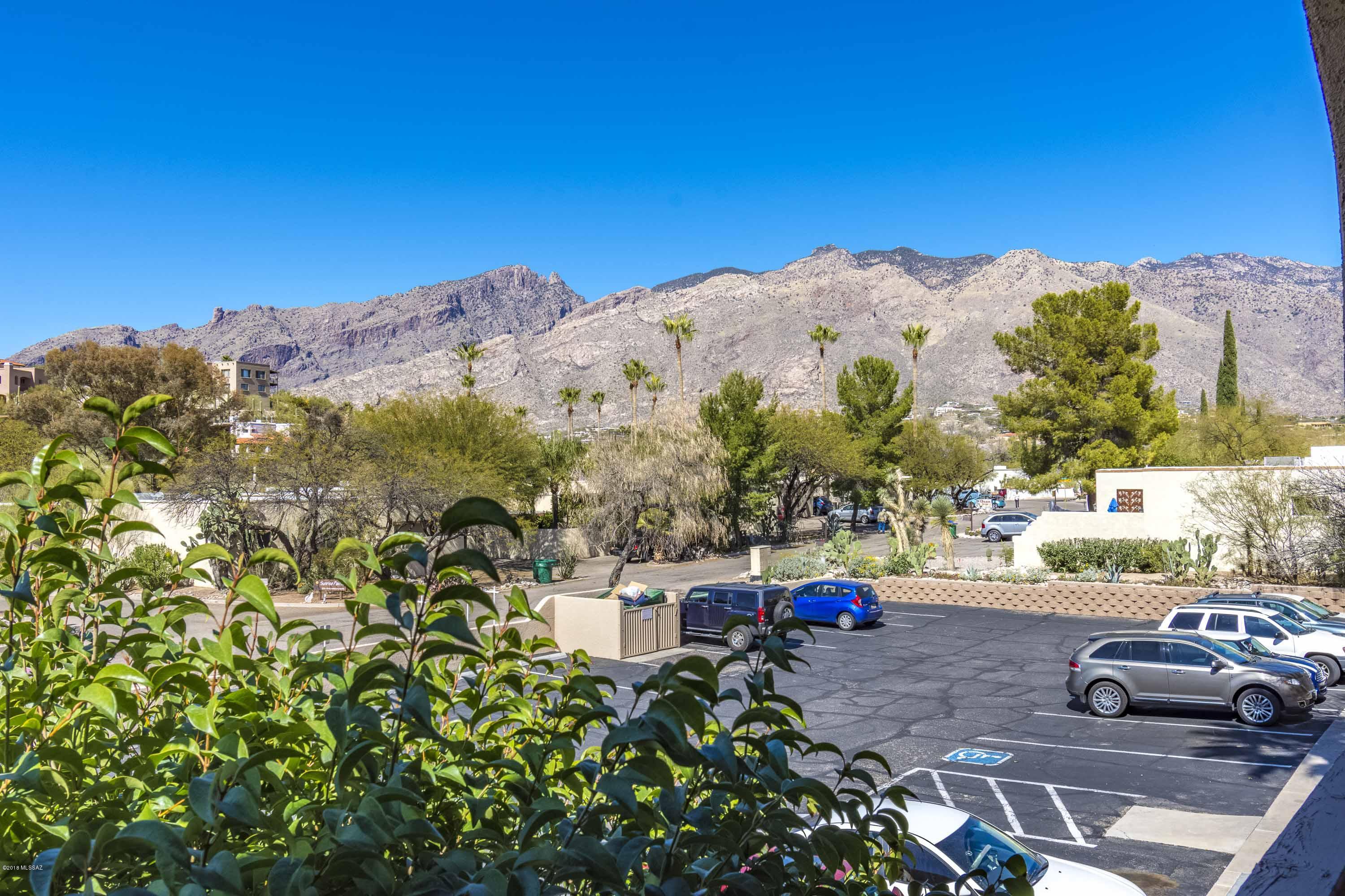 Skyline Springs Condos - Residential