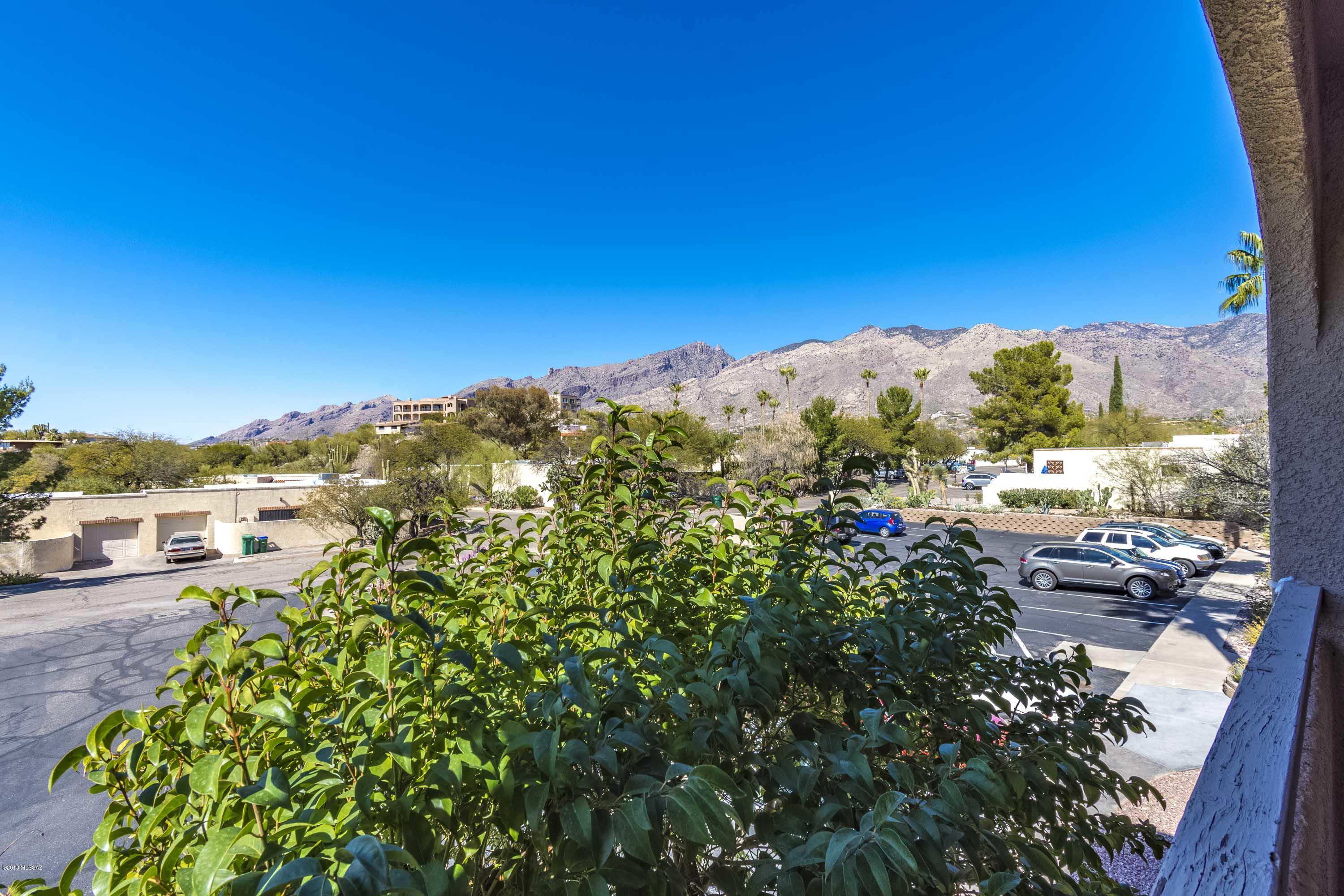 Skyline Springs Condos - Residential