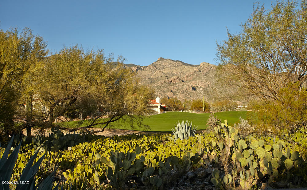 Paloma Del Sol (1-50) - Residential