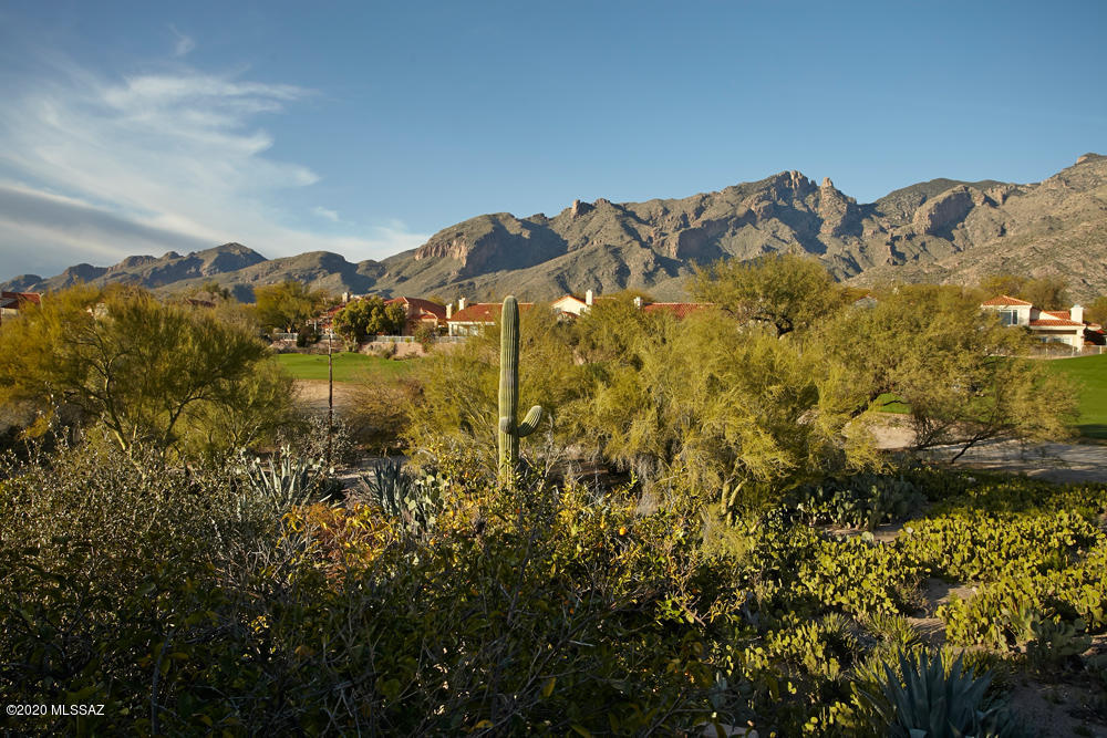 Paloma Del Sol (1-50) - Residential