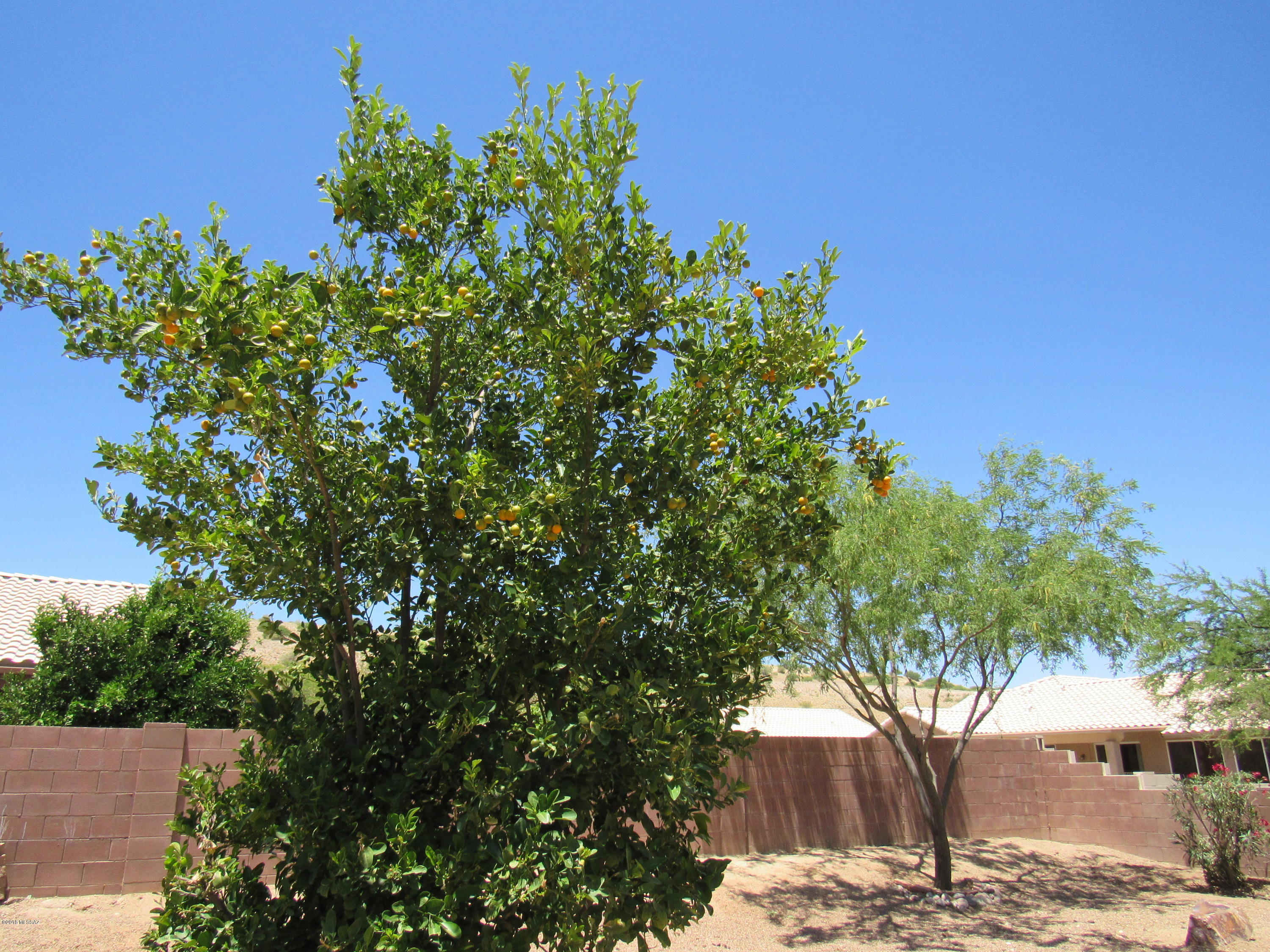 Colonias La Canada (83-219) - Residential