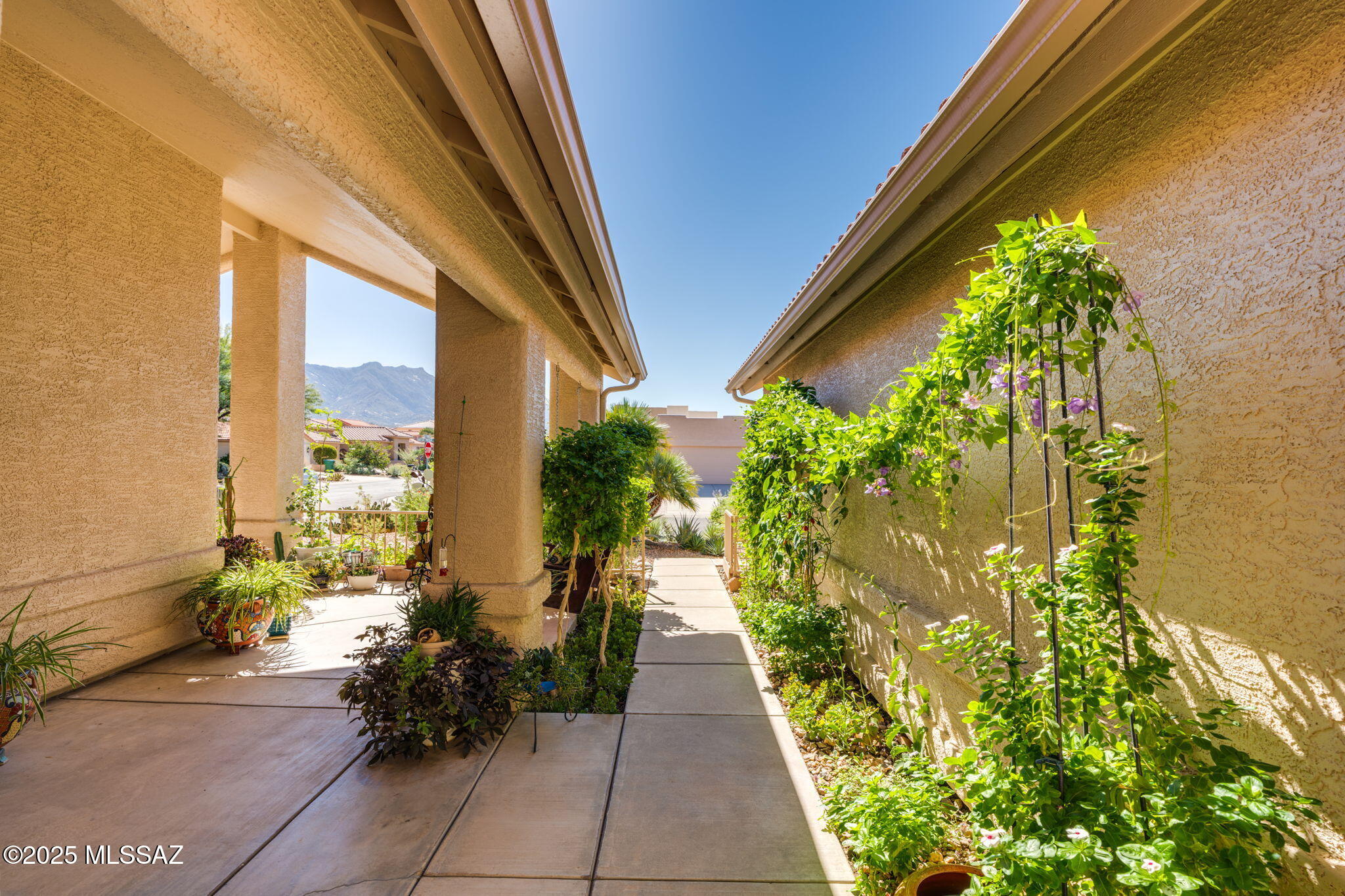 65870 E Mesa Ridge Court