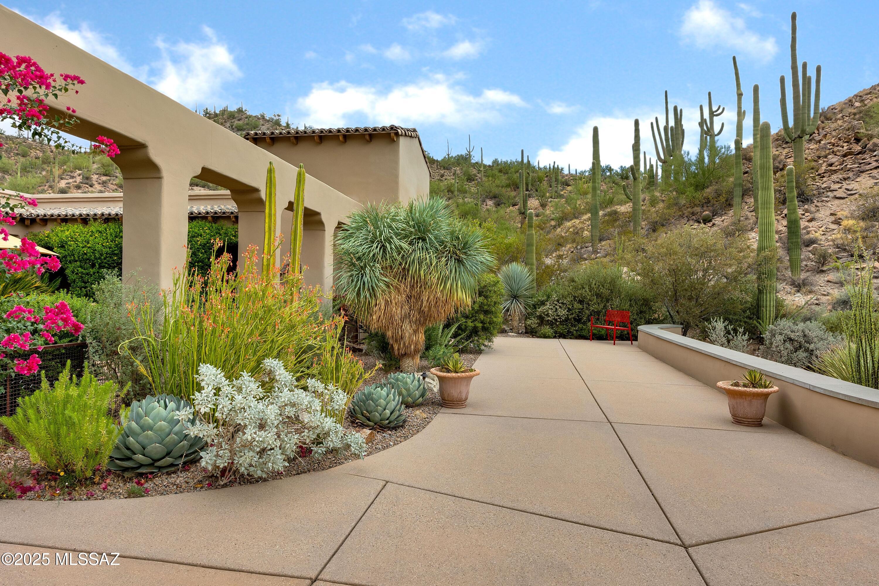 Wildcat Pass (1-61) - Residential