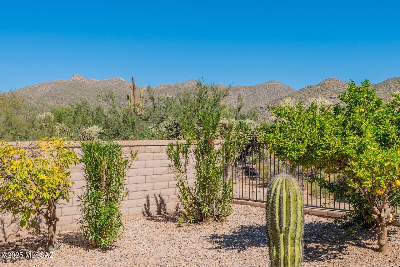 Dos Lagos at Dove Mountain (1-91) - Residential