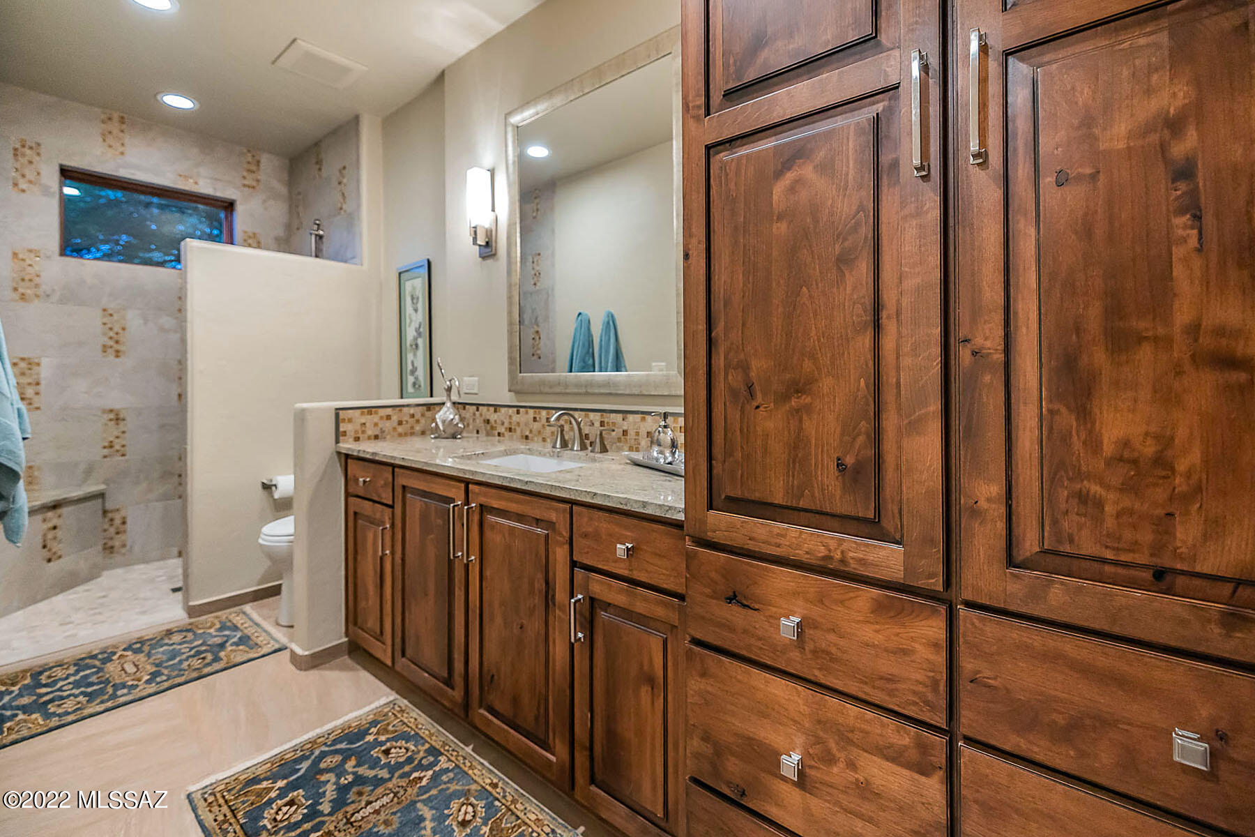 Catalina Foothills Estates NO. 10 (212-232) - Residential