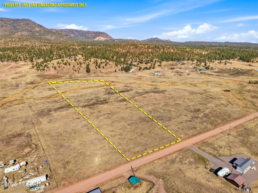 Discover the wide-open beauty of Lot 23 in The Ranch at Alpine, a 6.58-acre meadow property close to Luna Lake and surrounded by mountain forests. The seasonal creek (San Francisco River) runs through a portion of the property. This open parcel offers an ideal spot for your future cabin or mountain home, with plenty of room for horses, barns, and outdoor living areas. Power and water are available at the lot line, and elk and wildlife frequently visit the area. Just minutes from national forest access, hiking, hunting, and fishing, this peaceful Alpine setting is perfect for anyone looking to build in Arizona's high country.