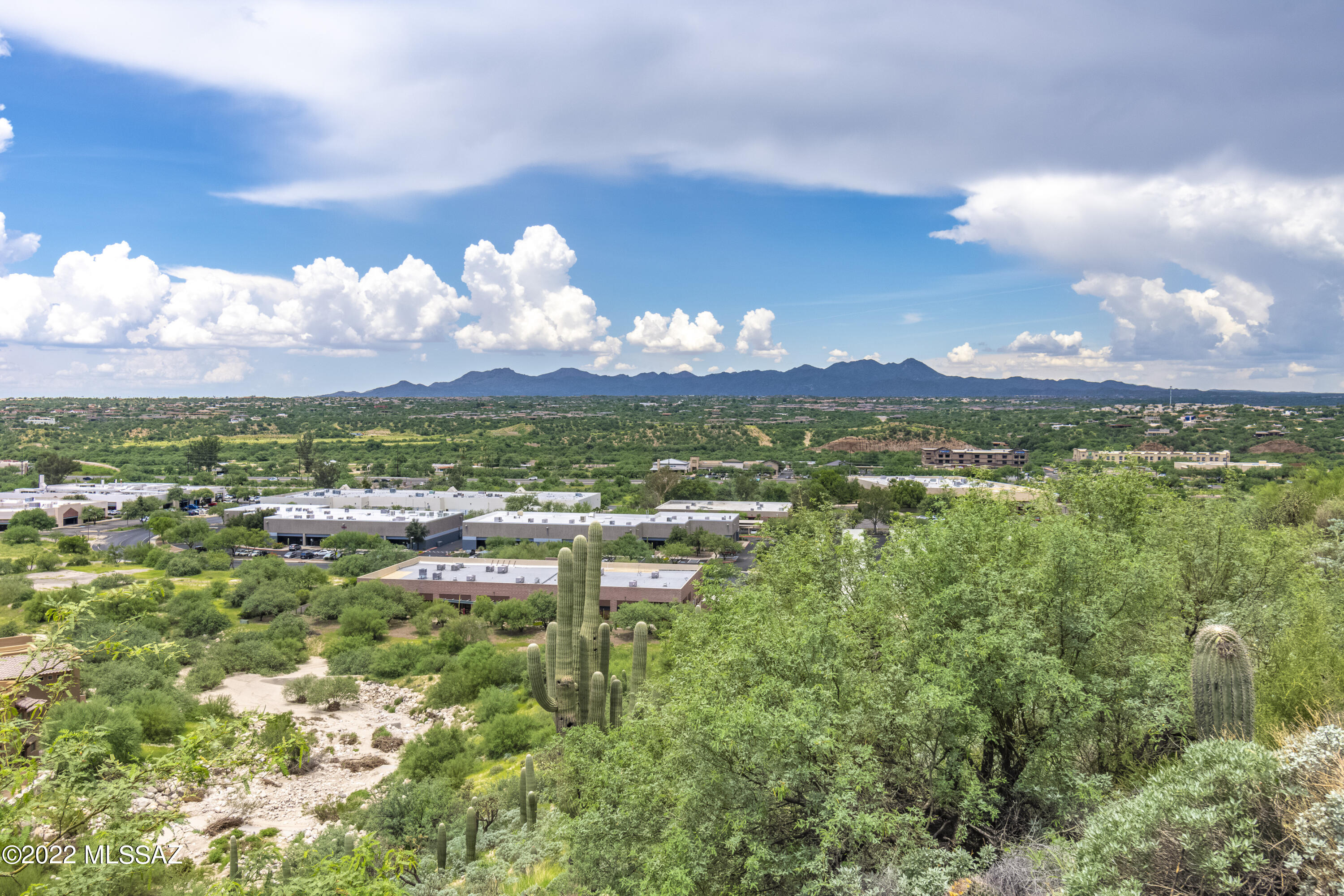 Pusch Ridge (Lots 1-12) - Residential