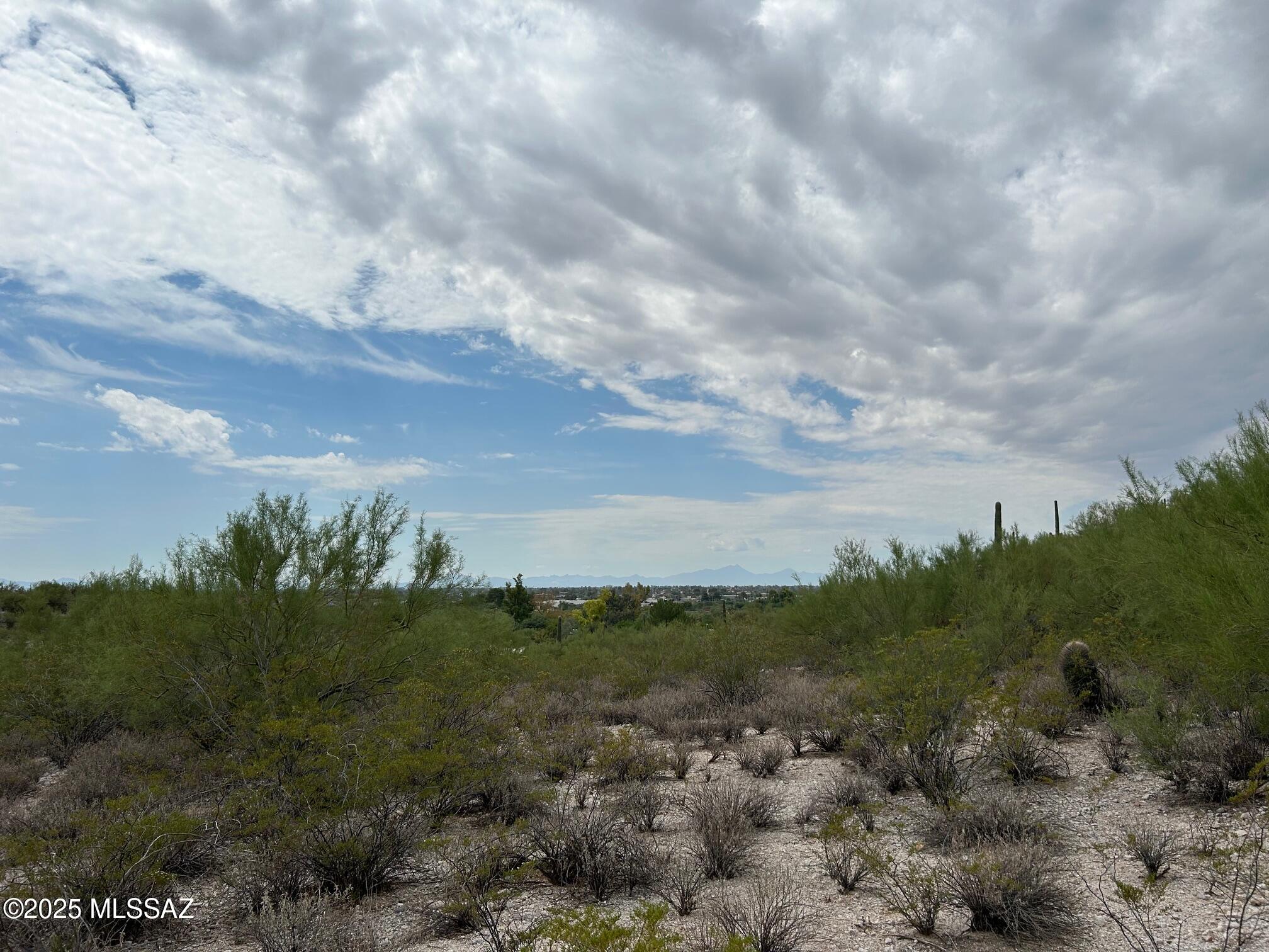 N Palo Verde Boulevard