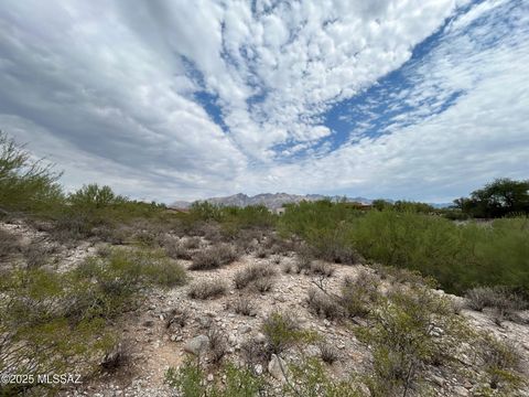 N Palo Verde Boulevard Tucson AZ 85718