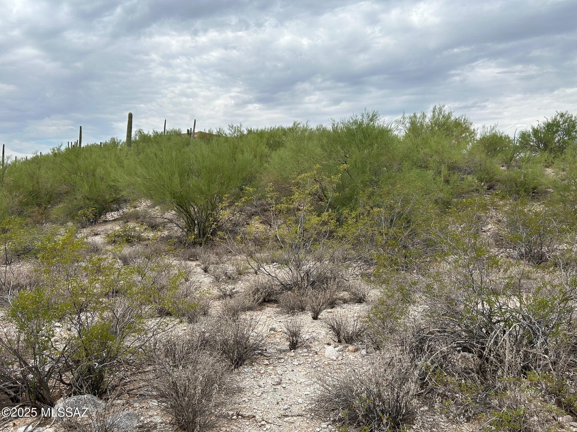 N Palo Verde Boulevard