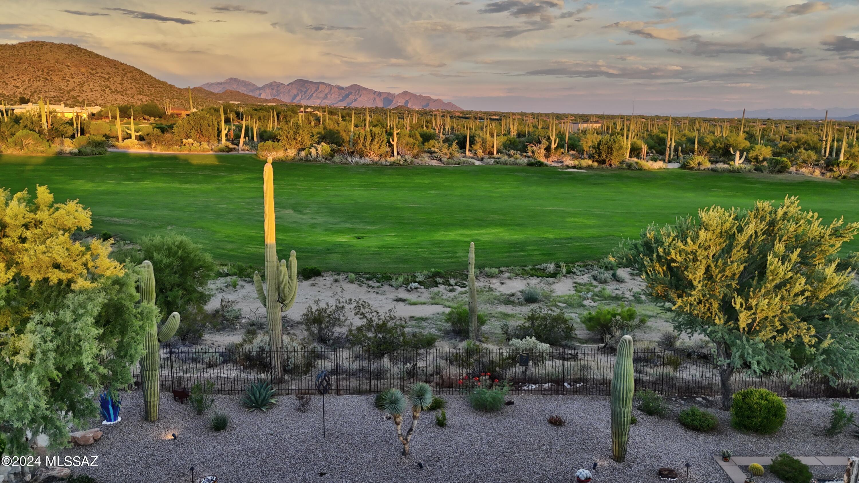 Dove Mountain Resort (1-153) - Residential