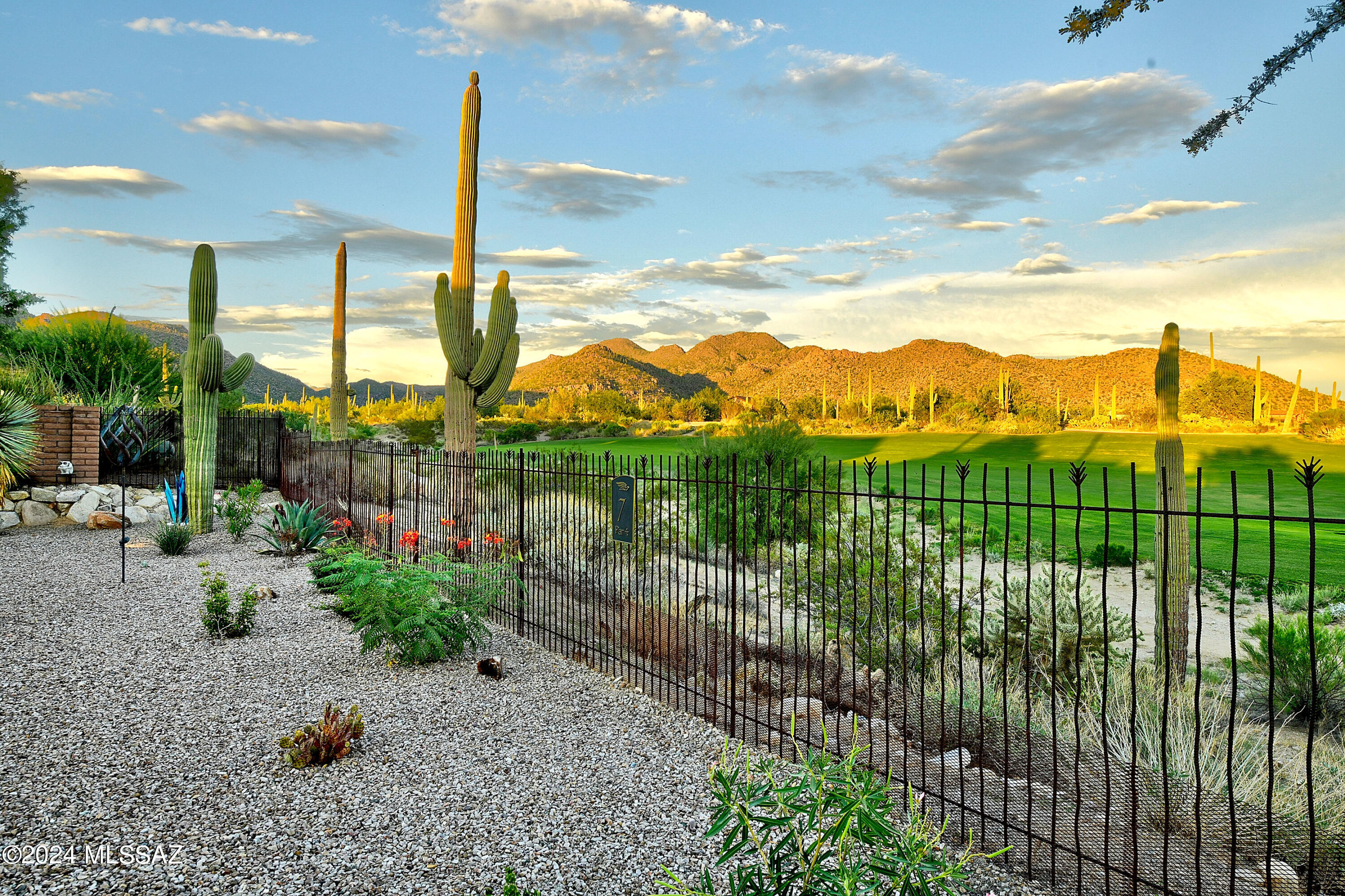 Dove Mountain Resort (1-153) - Residential