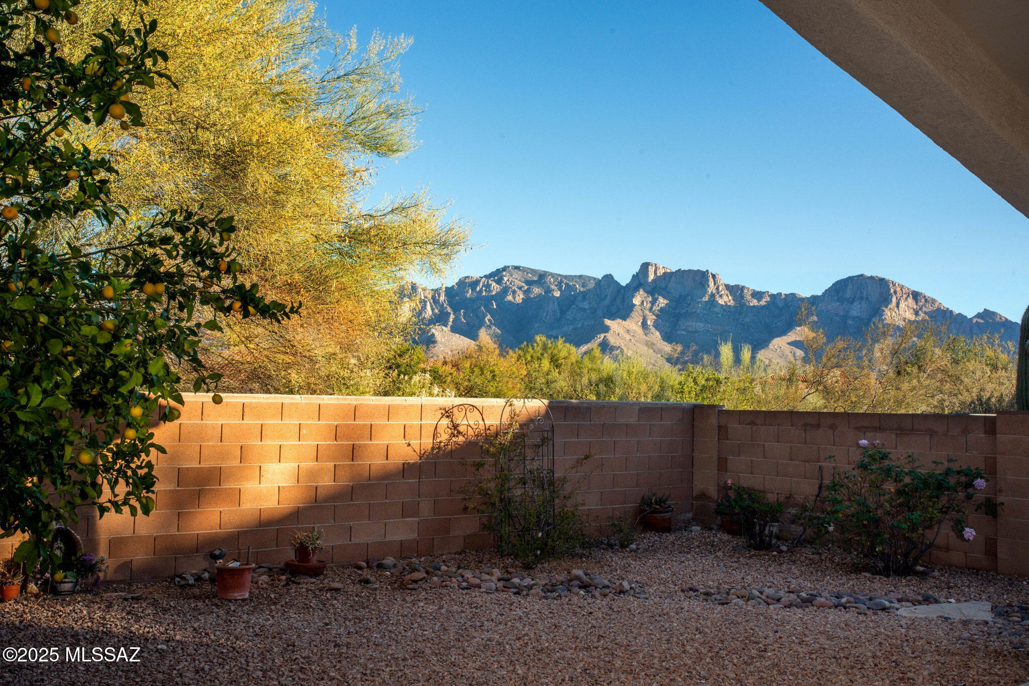 12242 N New Dawn Avenue